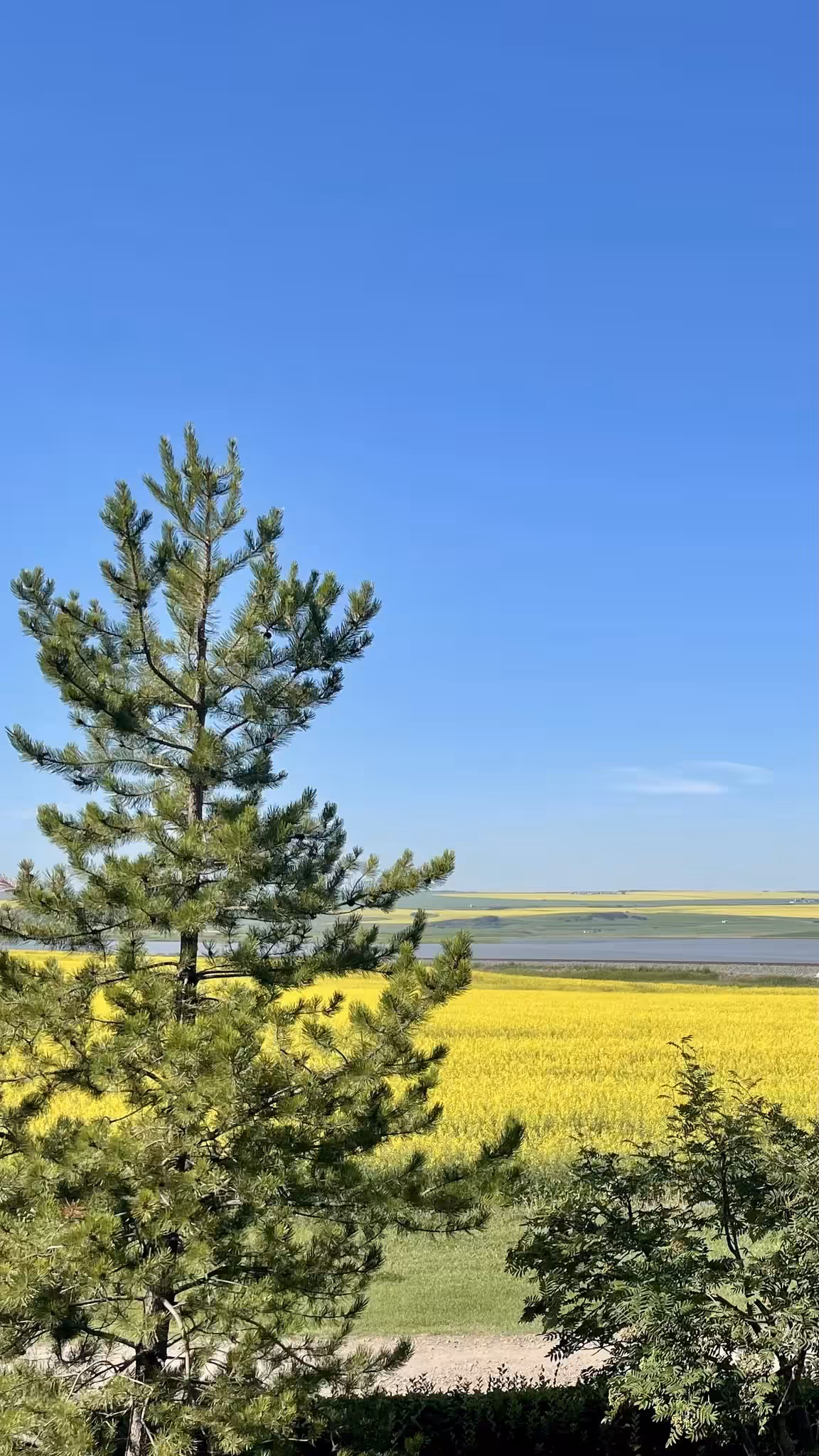 Photography: Prairie Colors