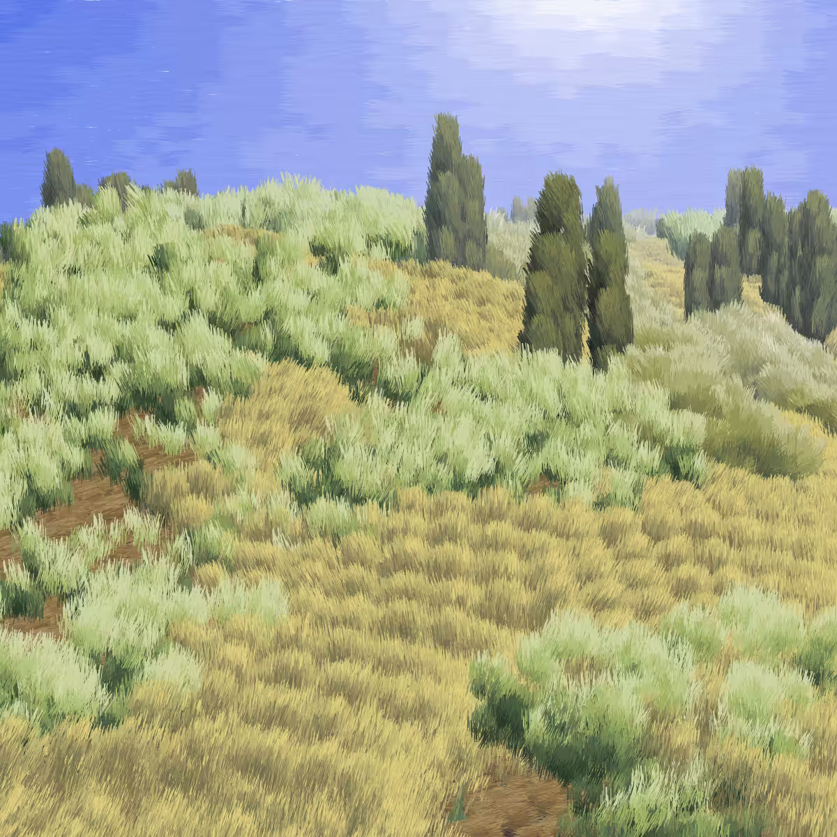 Provence #370