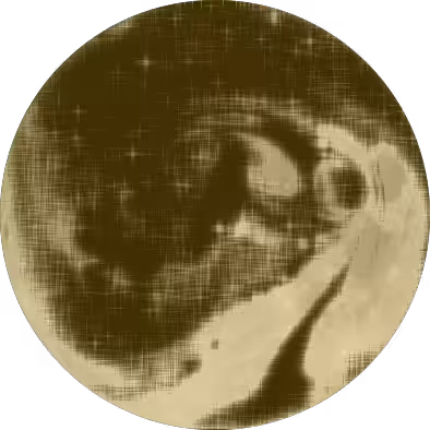 Moondrink