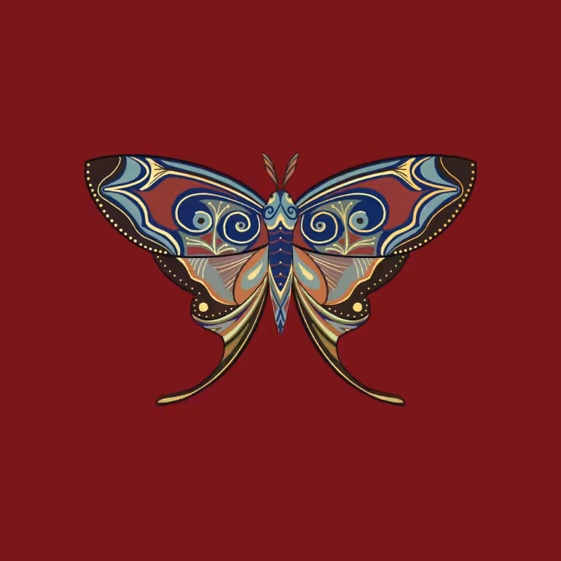 The Moth Experiment - Special Edition #3