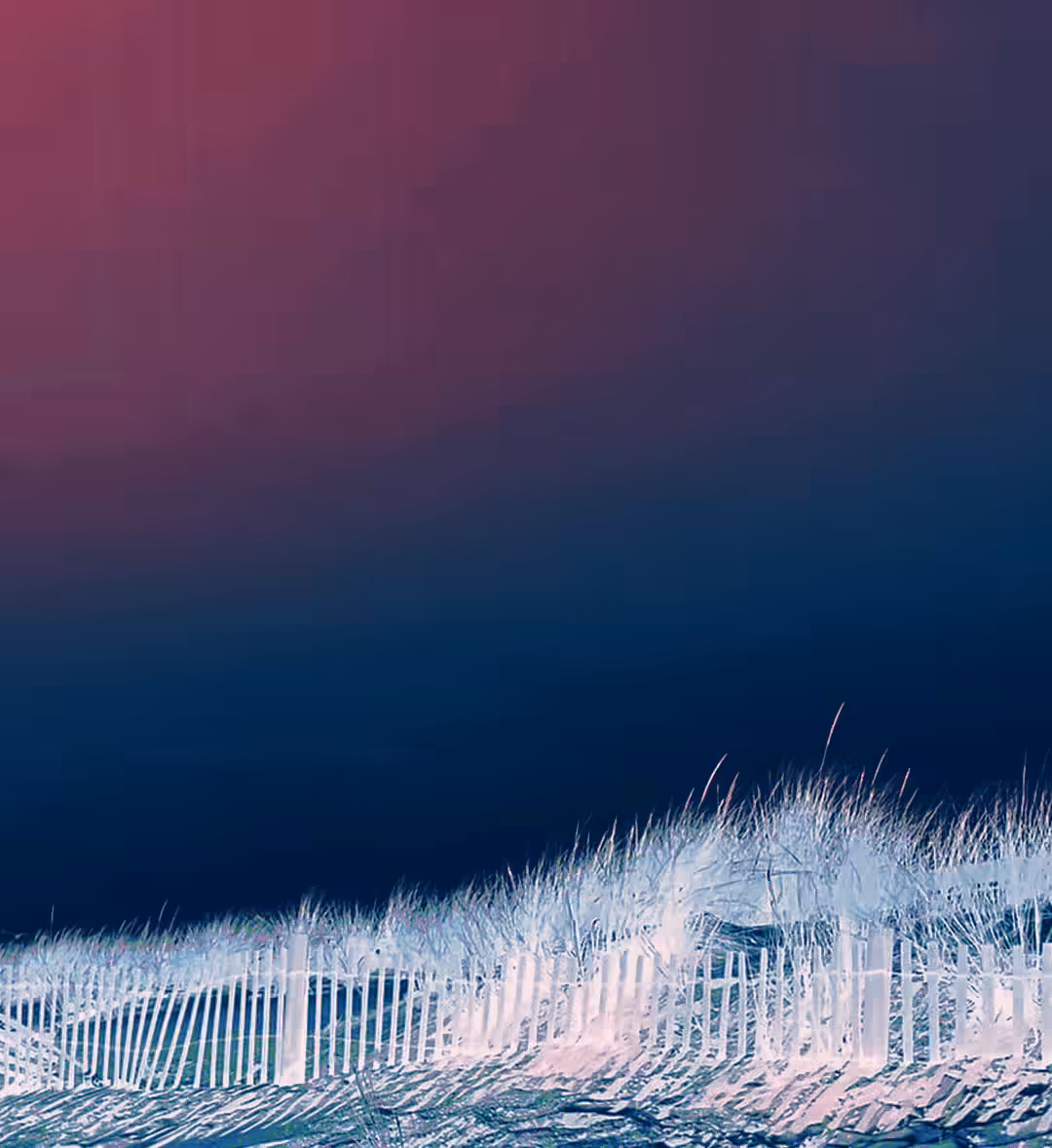 beach-grass wind-song/solo