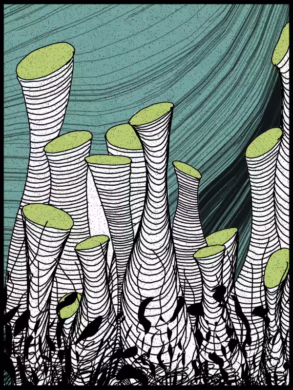 Play with lines #zentangle #29