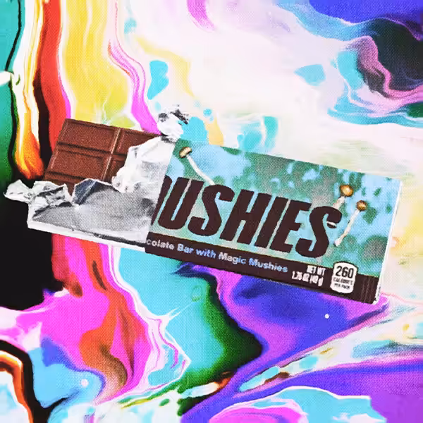 MUSHROOM BAR #13