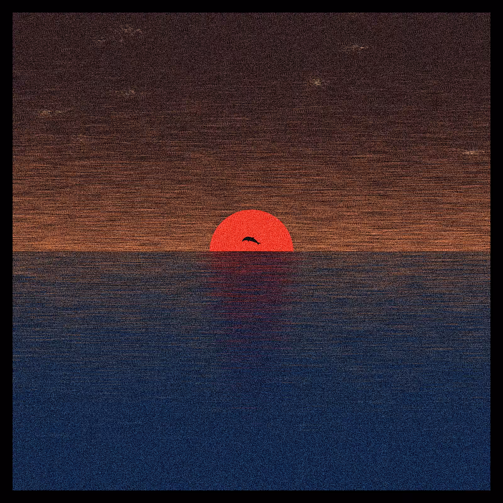 sunrise sunset #4
