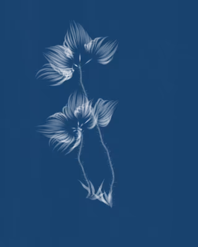Cyanotypes #210