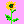 sunflower 02