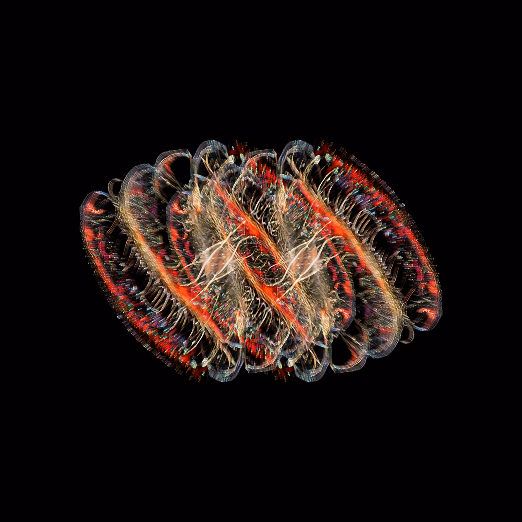 Interspecies Iterations #04