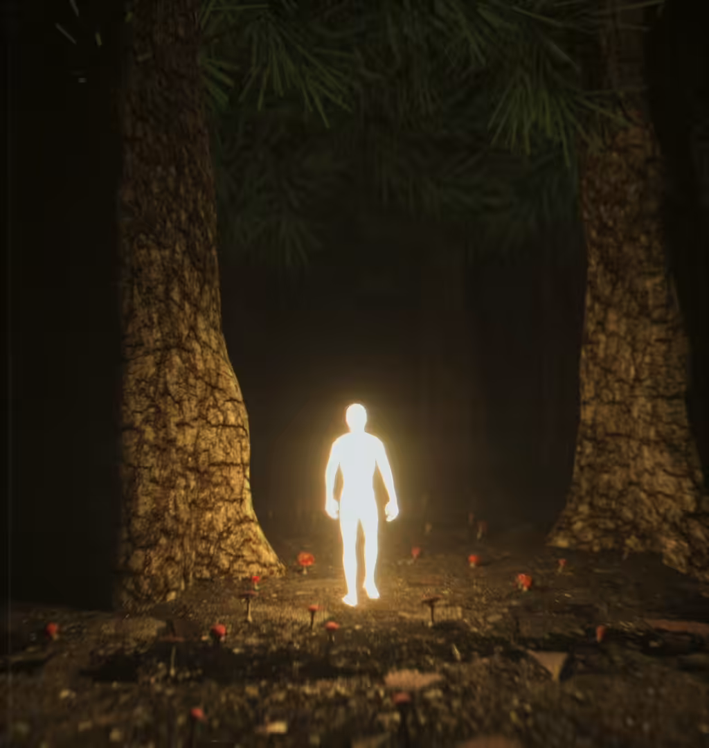 I Always Knew You Were Light