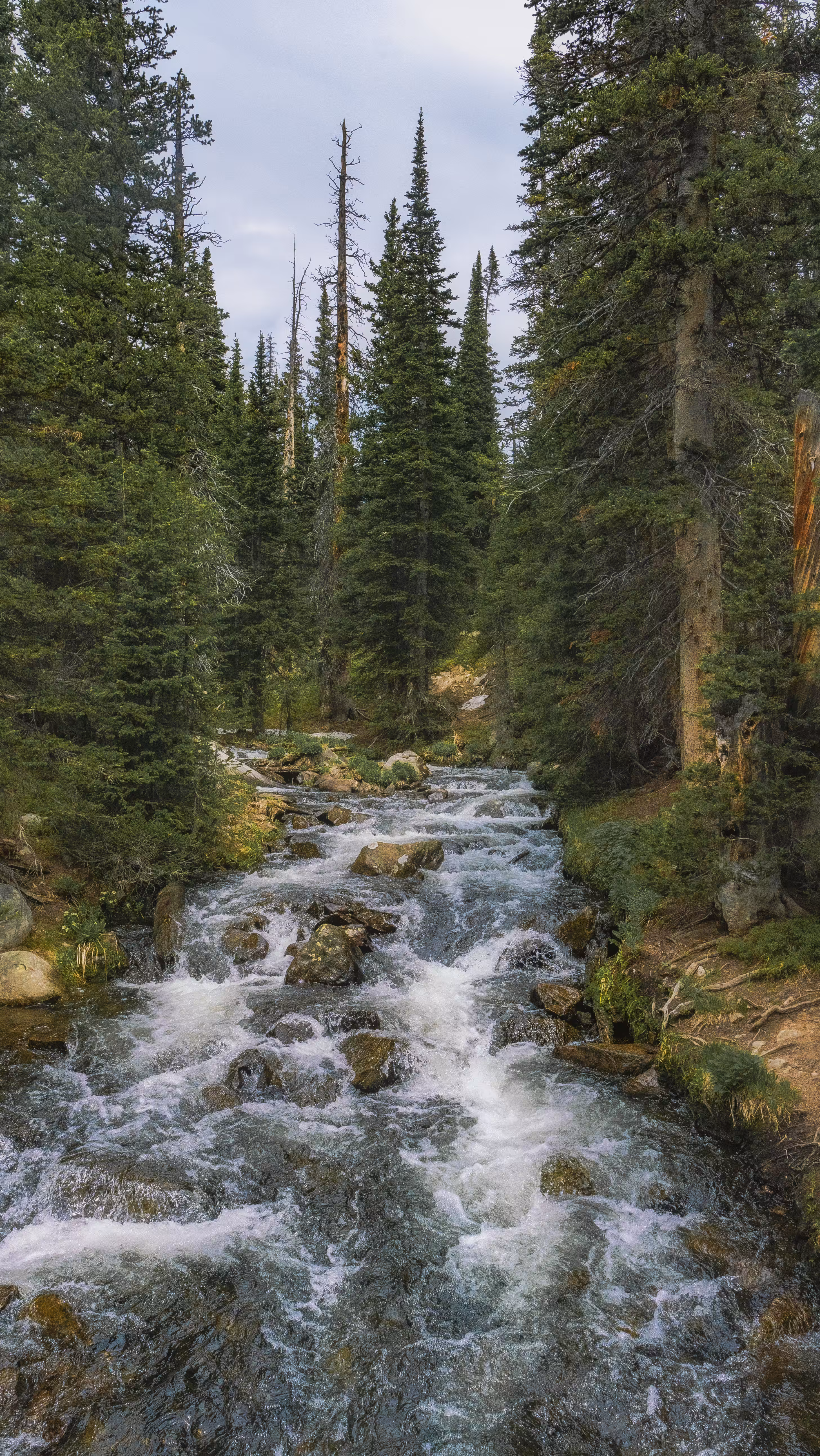 Colorado Landscapes  #1 