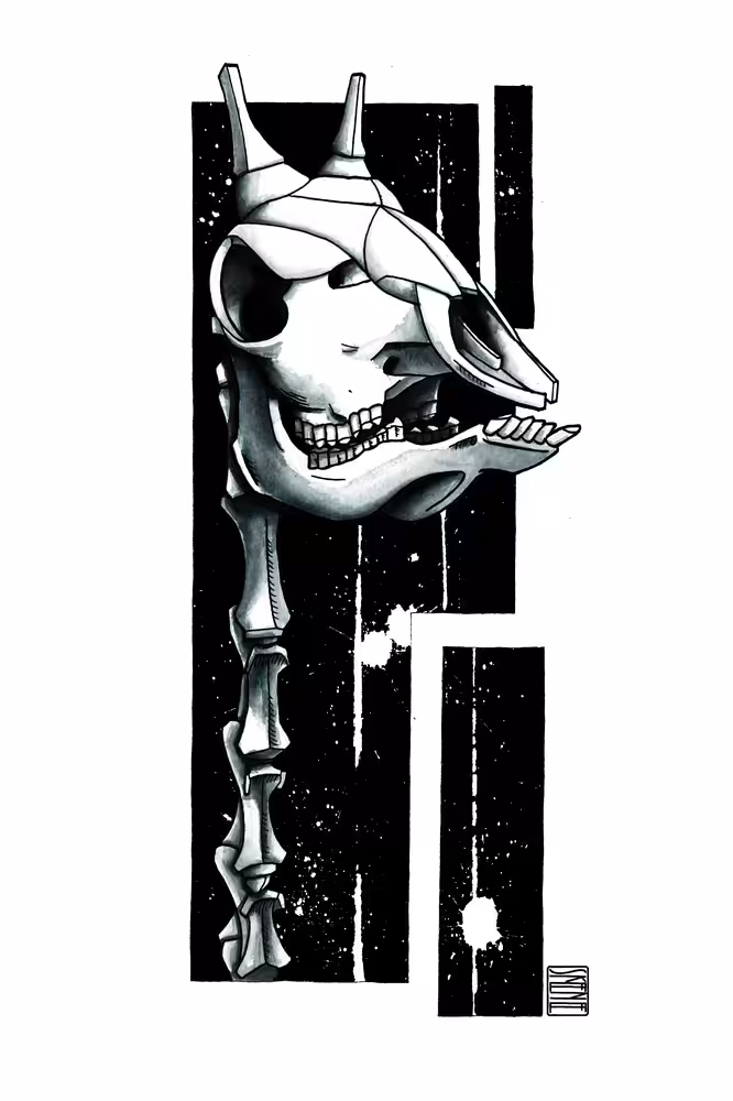 Giraffe Skull Study