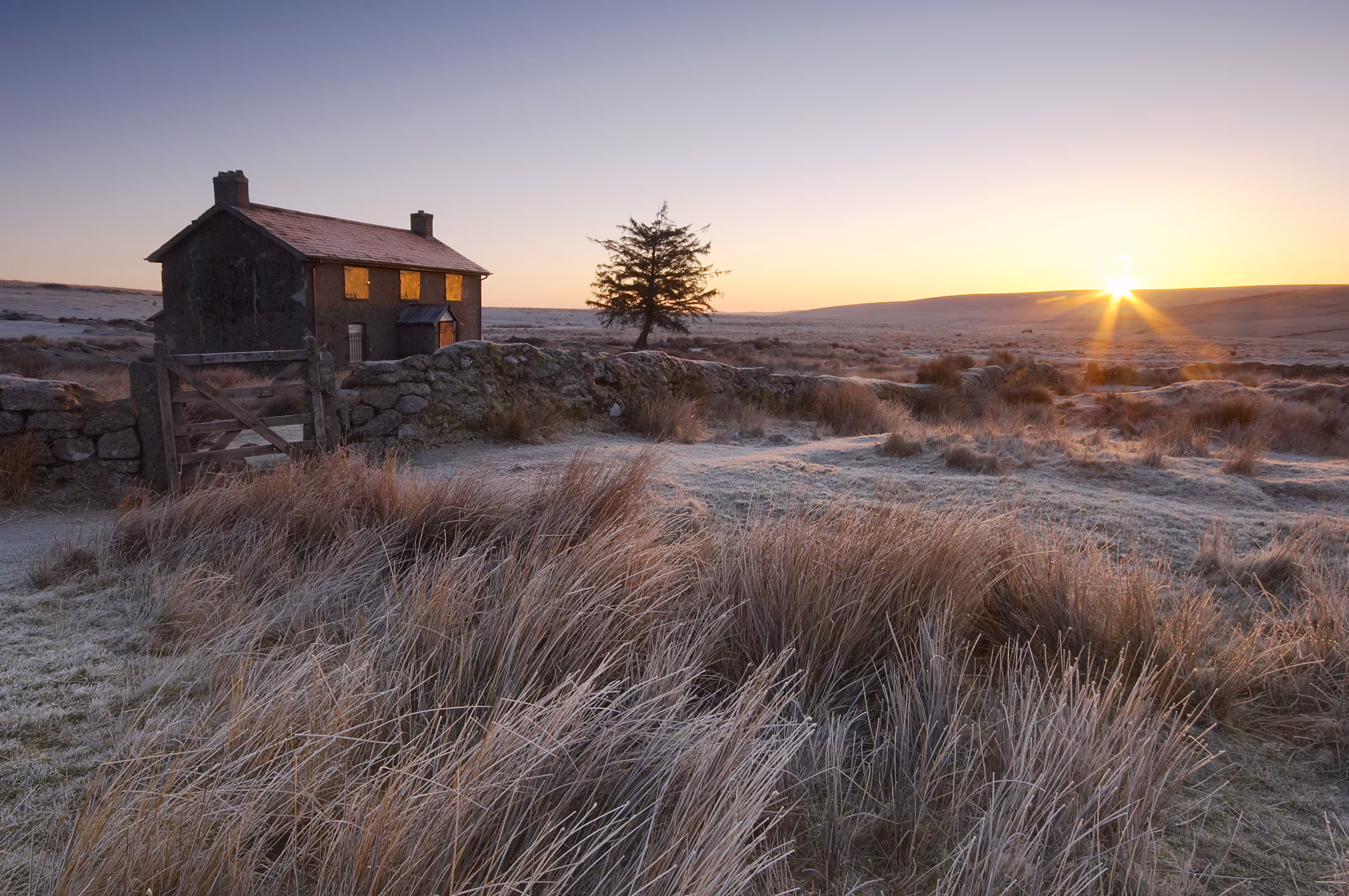 First Light