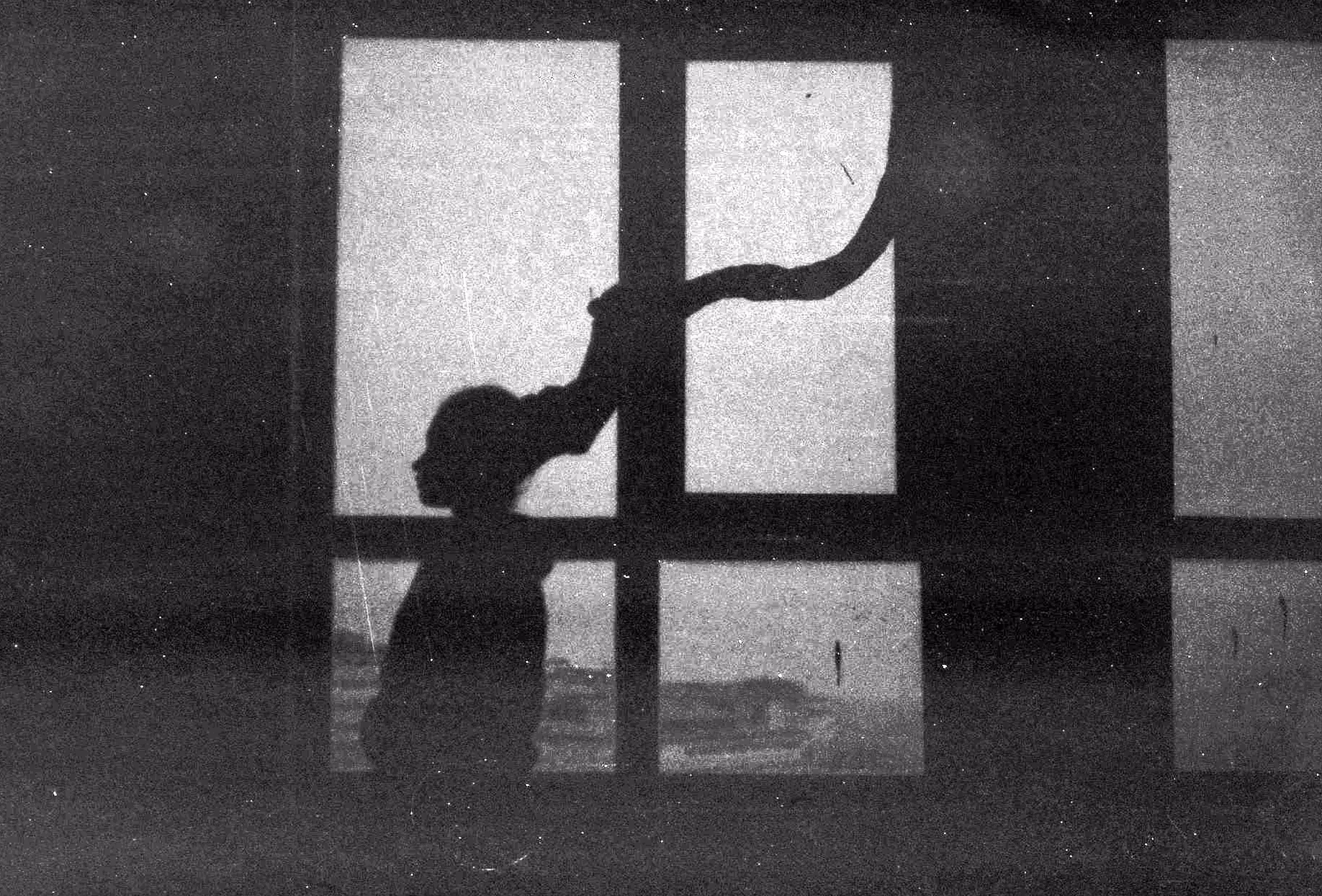 Snake Curtain