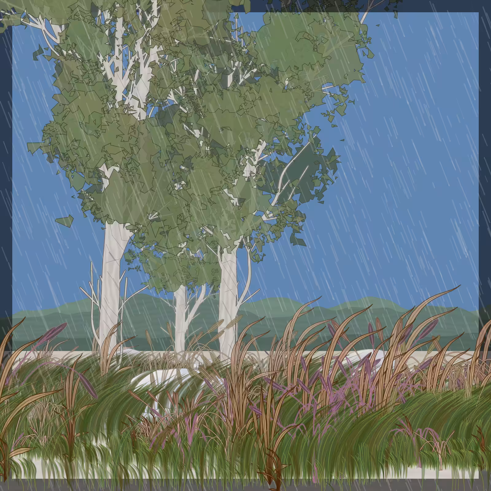 Rain Ritual #219