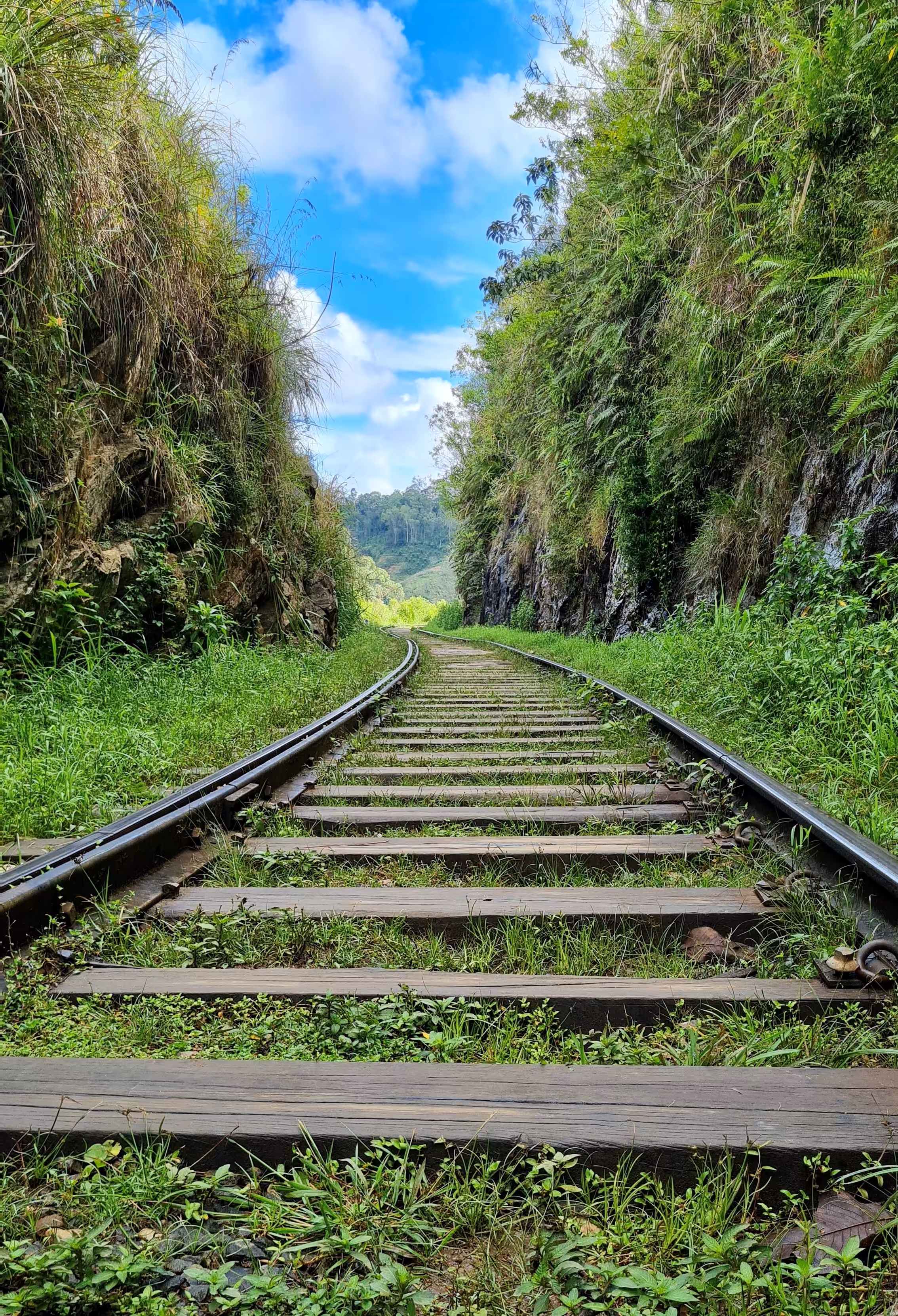 Road