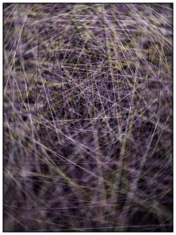 Haystack in a Needle #43