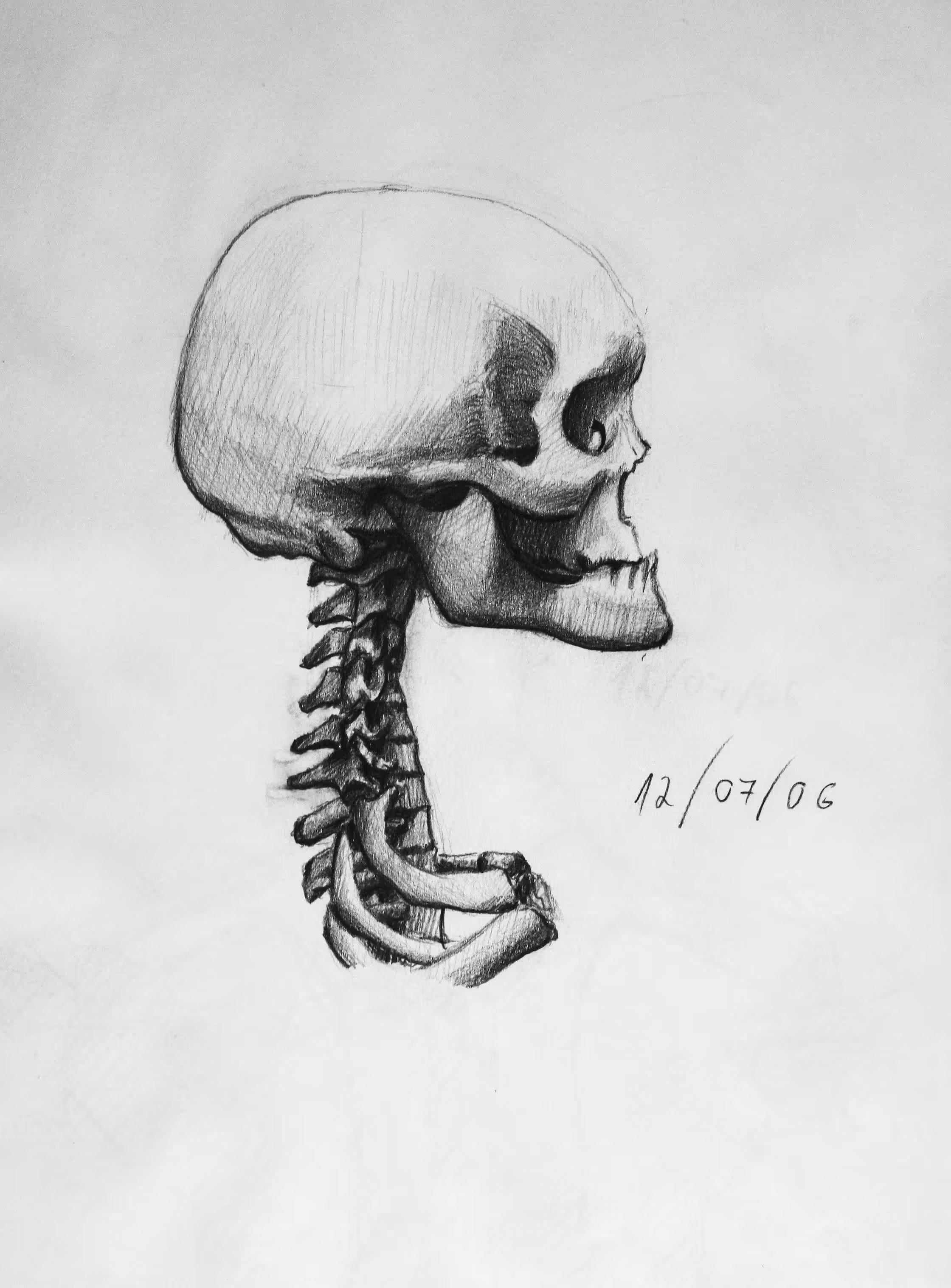 Anatomy Study III