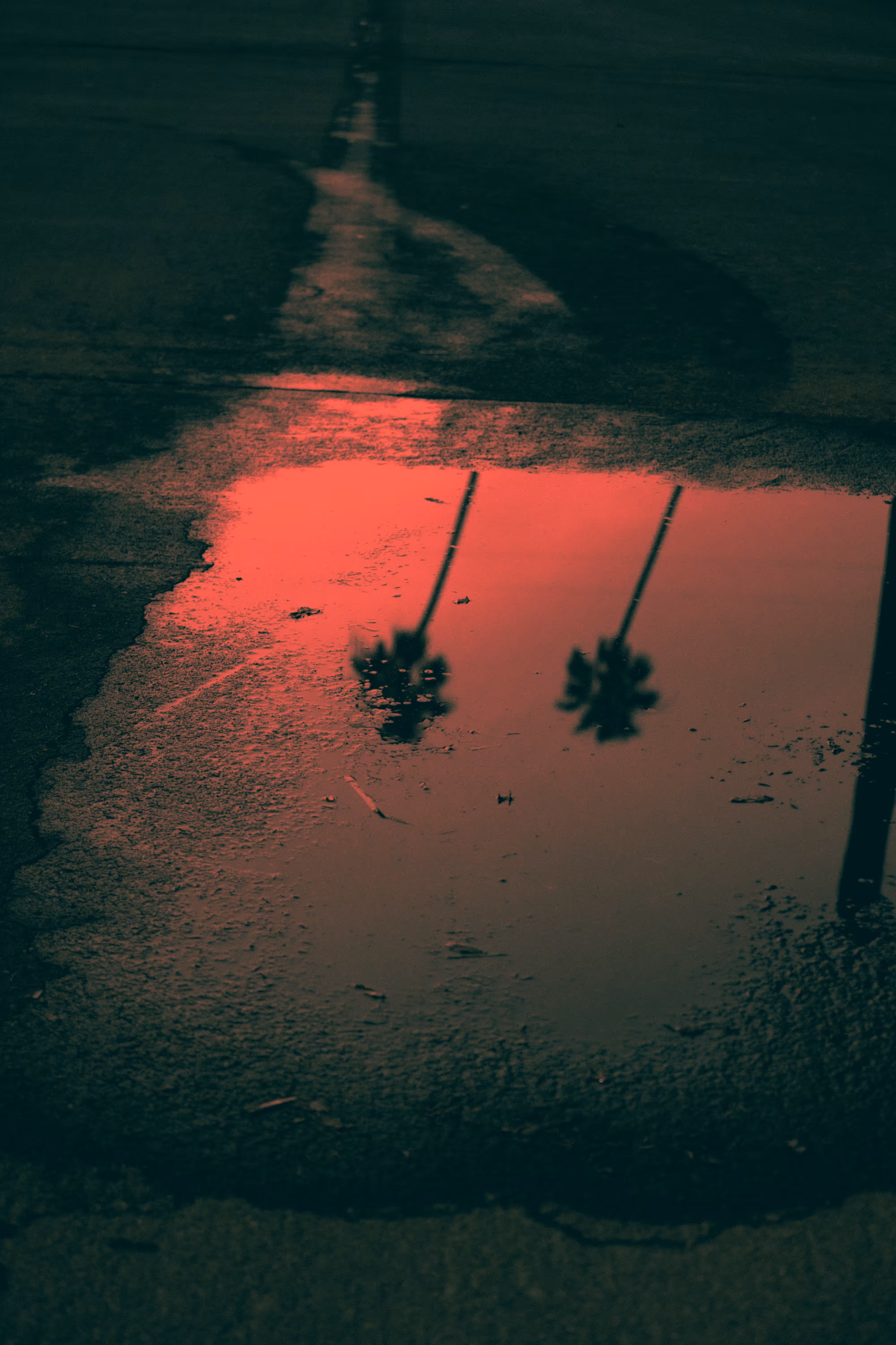 Somewhere Else: 025 - Roadkill