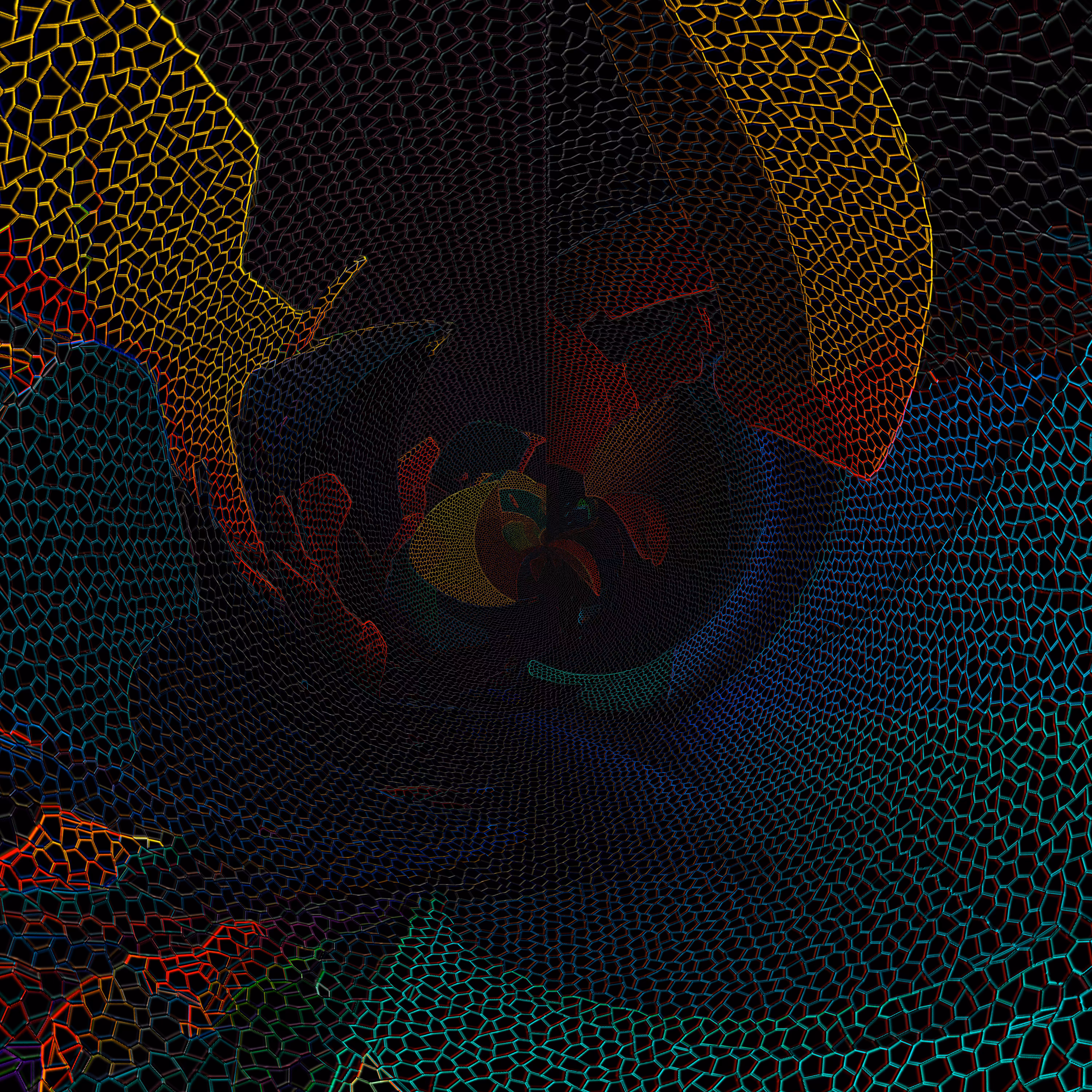 Wireframe // 2