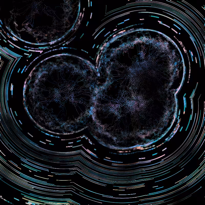 cells in vector fields #21