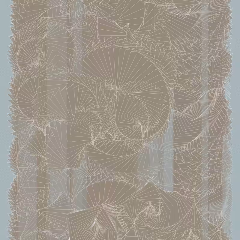 Braids/burdens #36