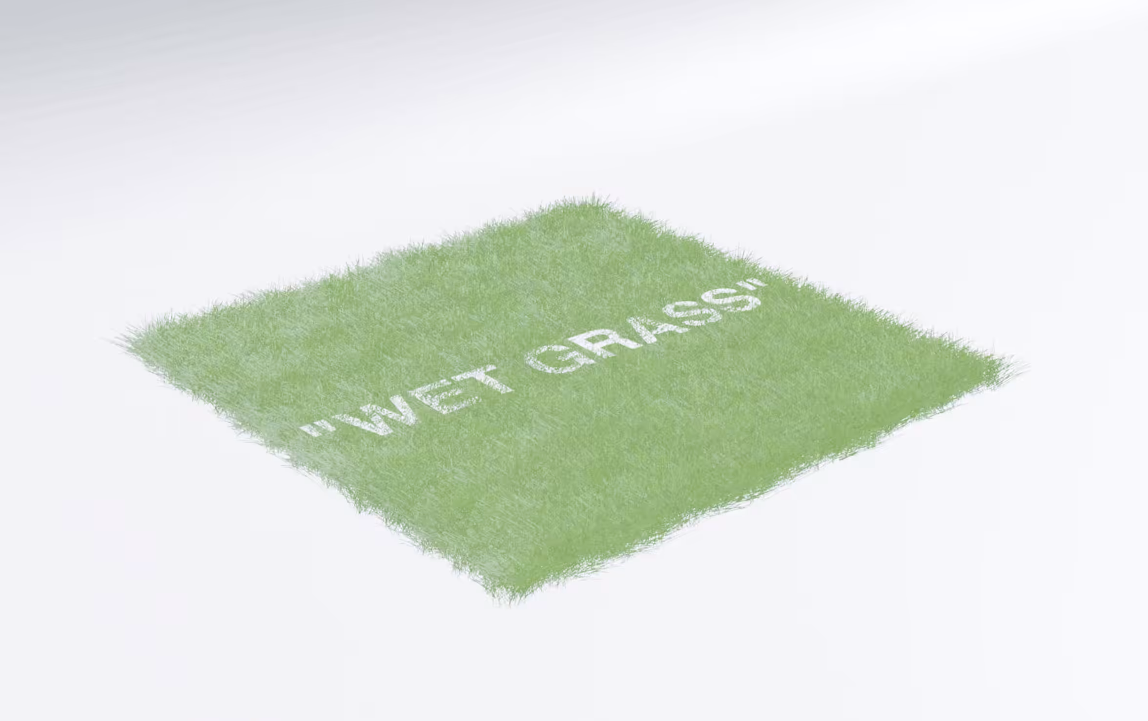 wet grass
