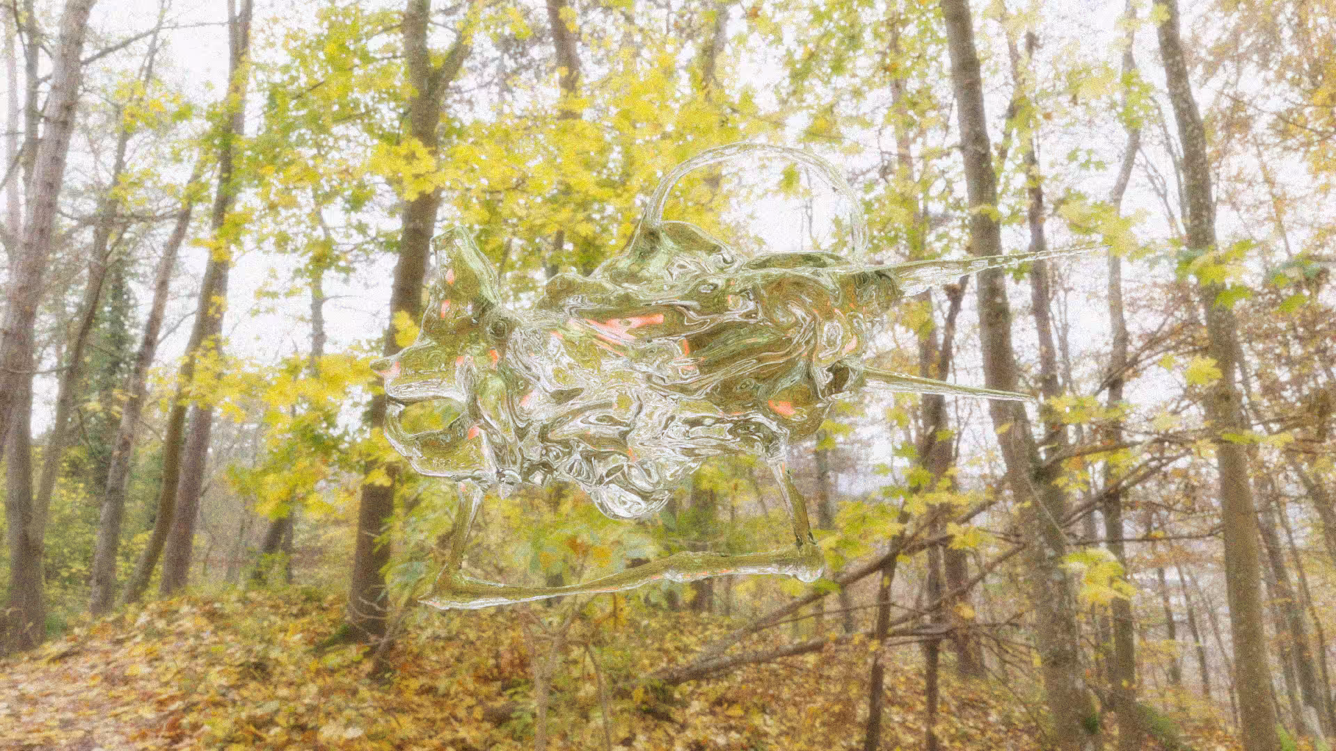 spirit cloak