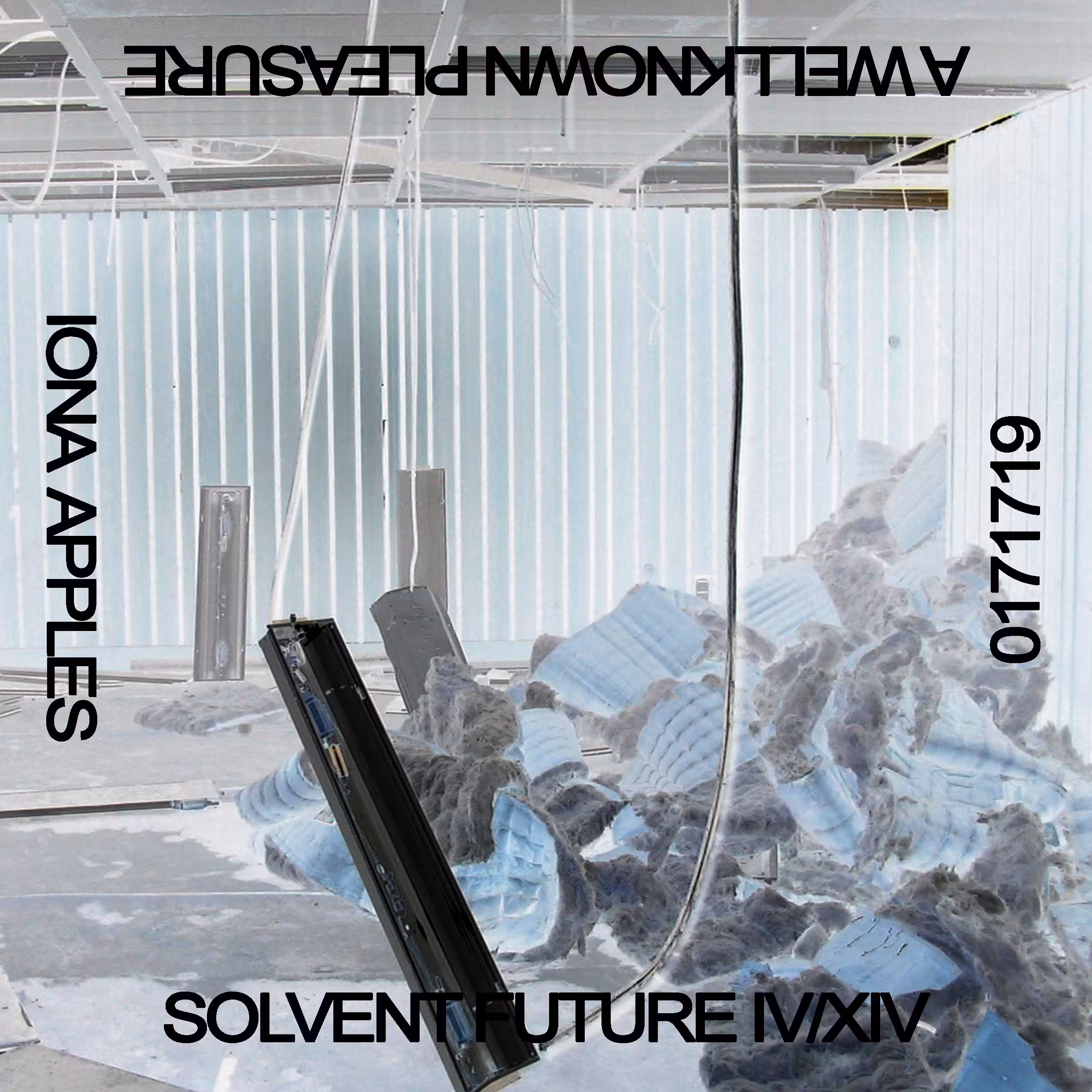 SOLVENT FUTURE // No.17