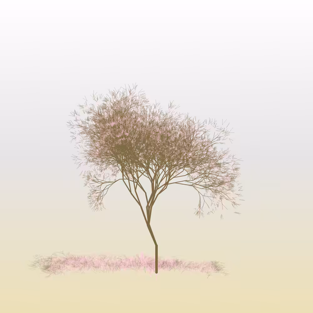 Hanami #7