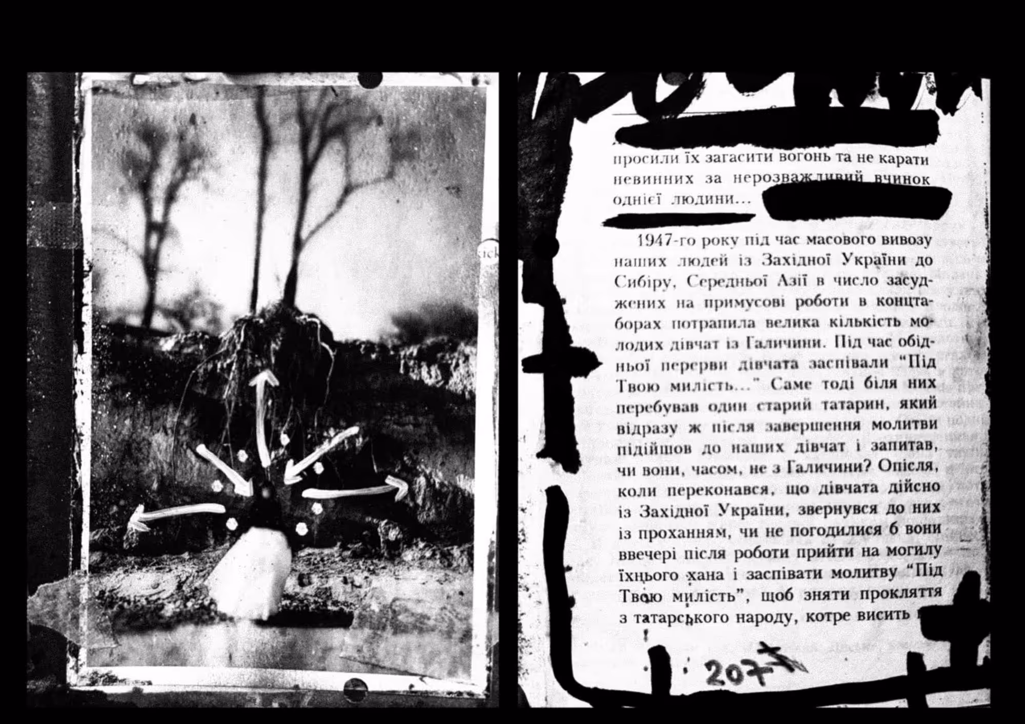the whole world #93