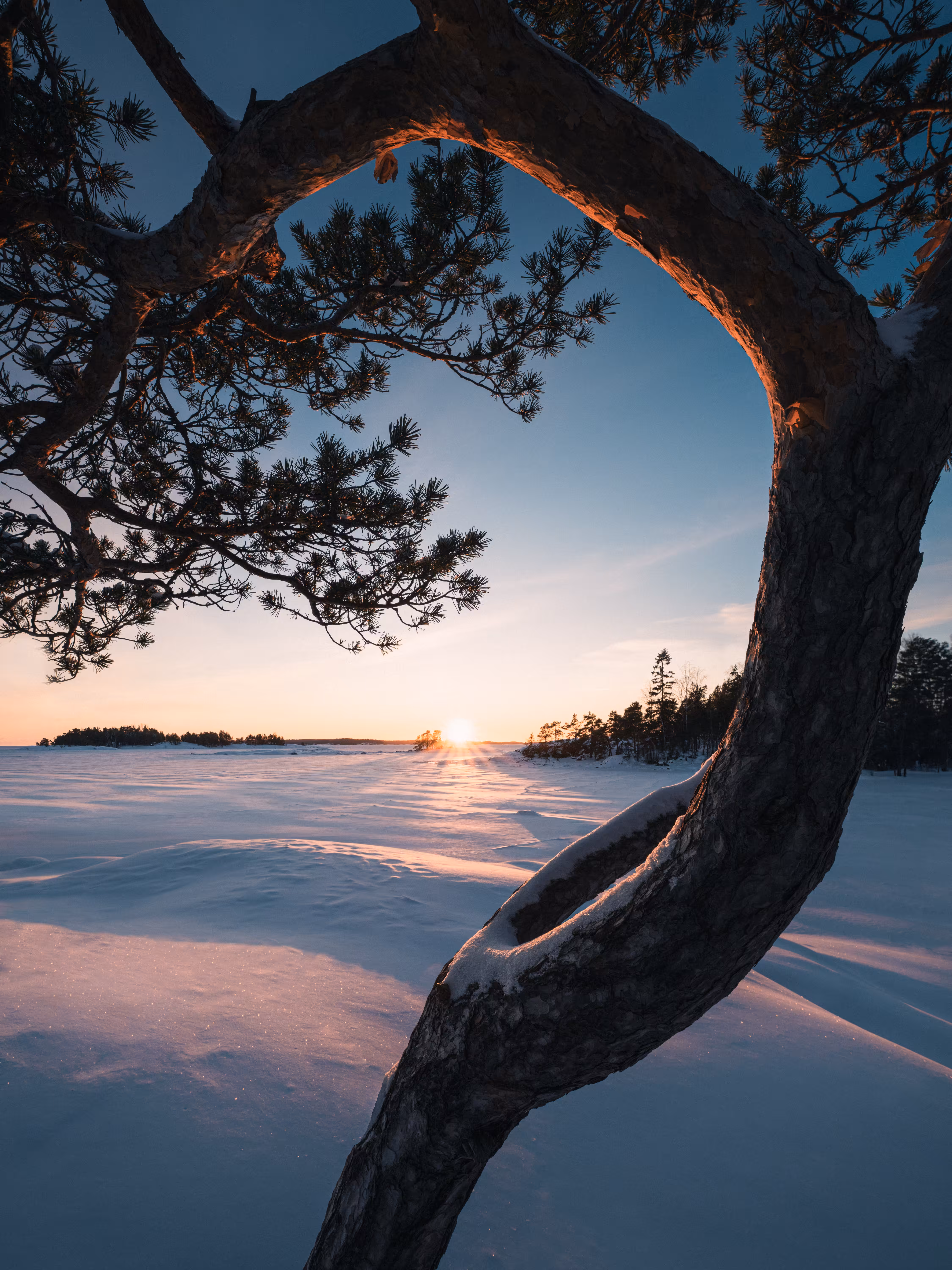 HARMONIA: Reaching for the Light