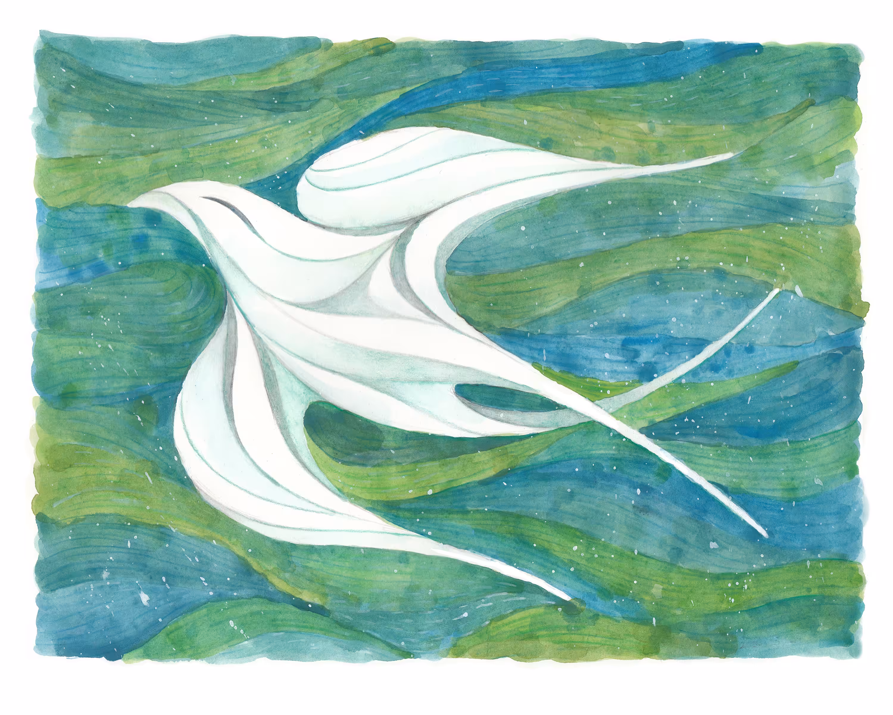 Peace at Pace