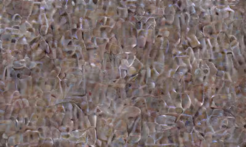 In uterus 2