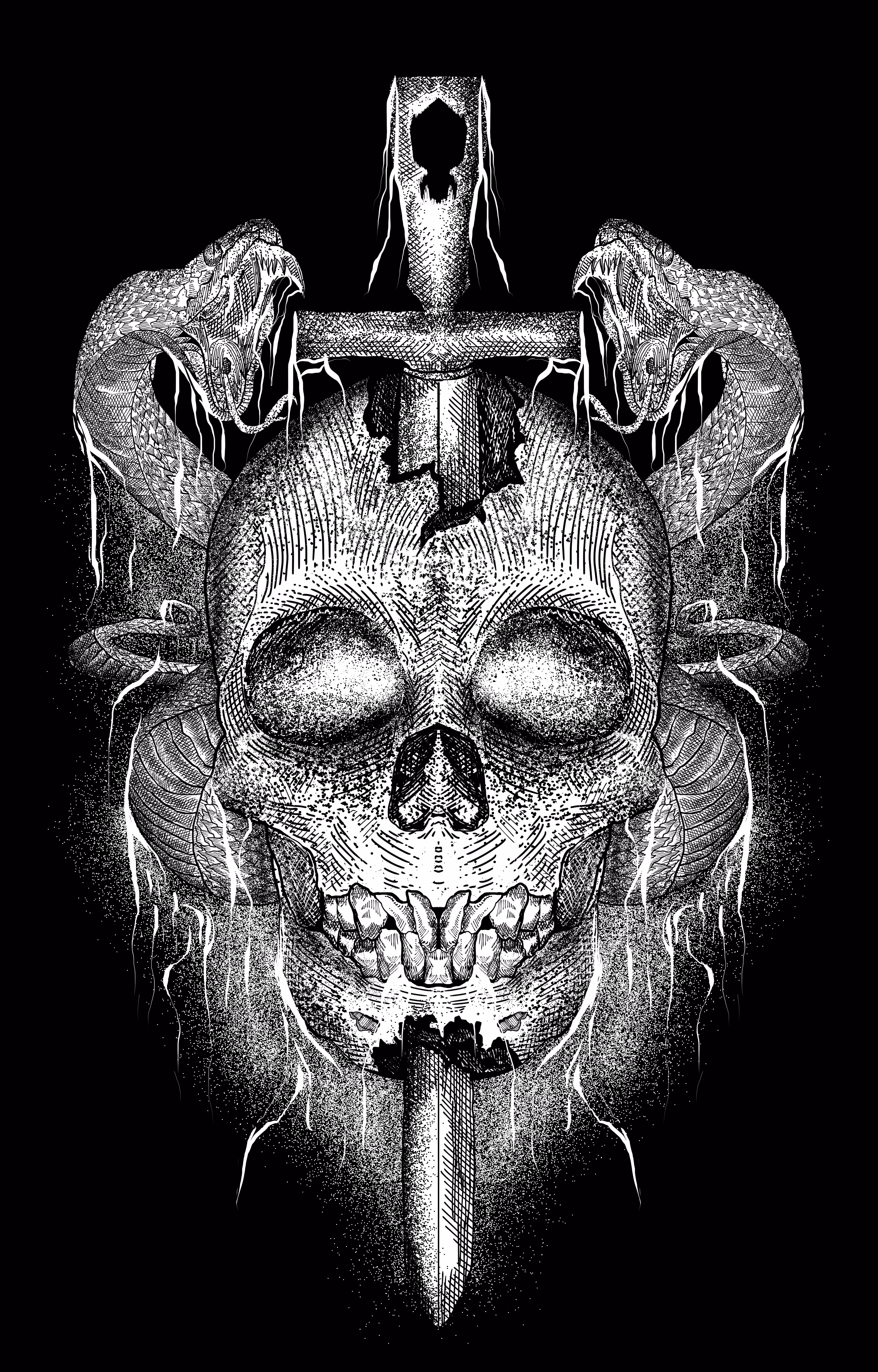 Snake skull