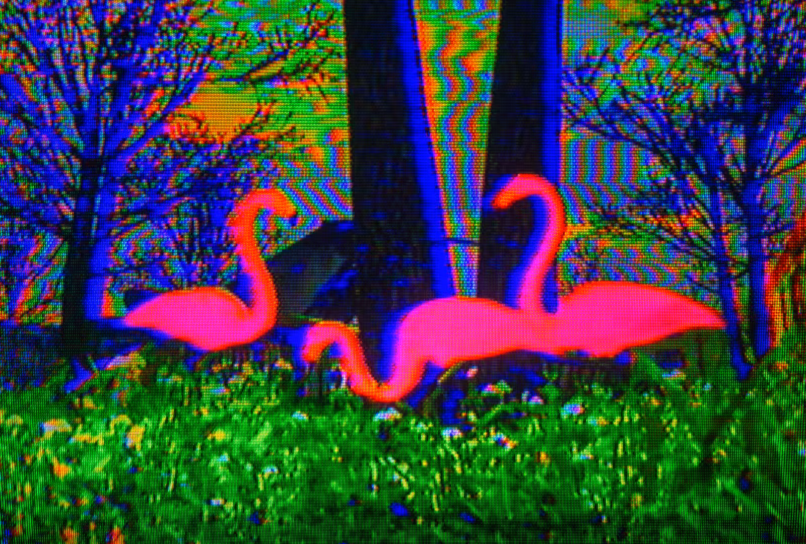 pink artifact