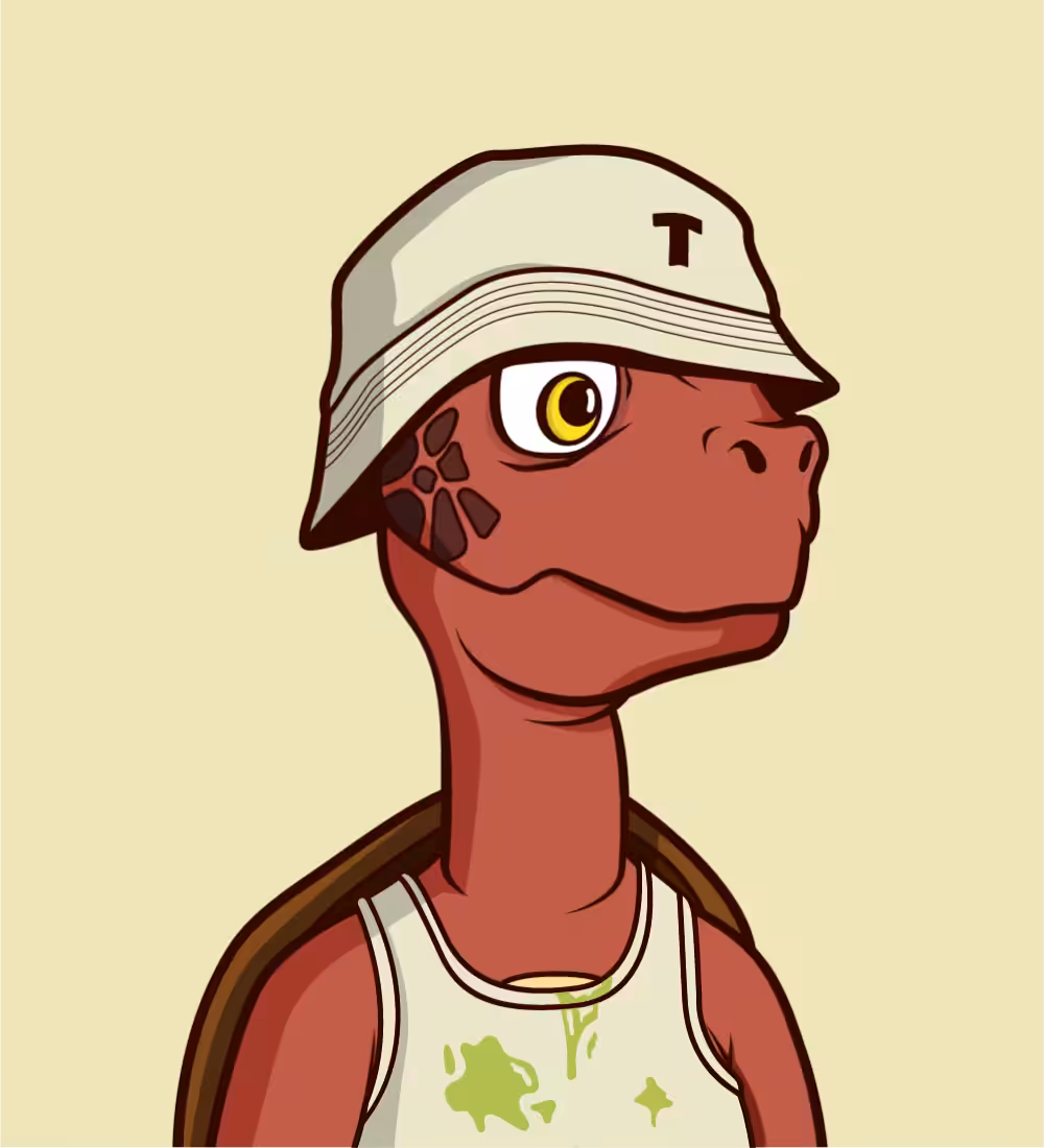 Tiny Turtle 67