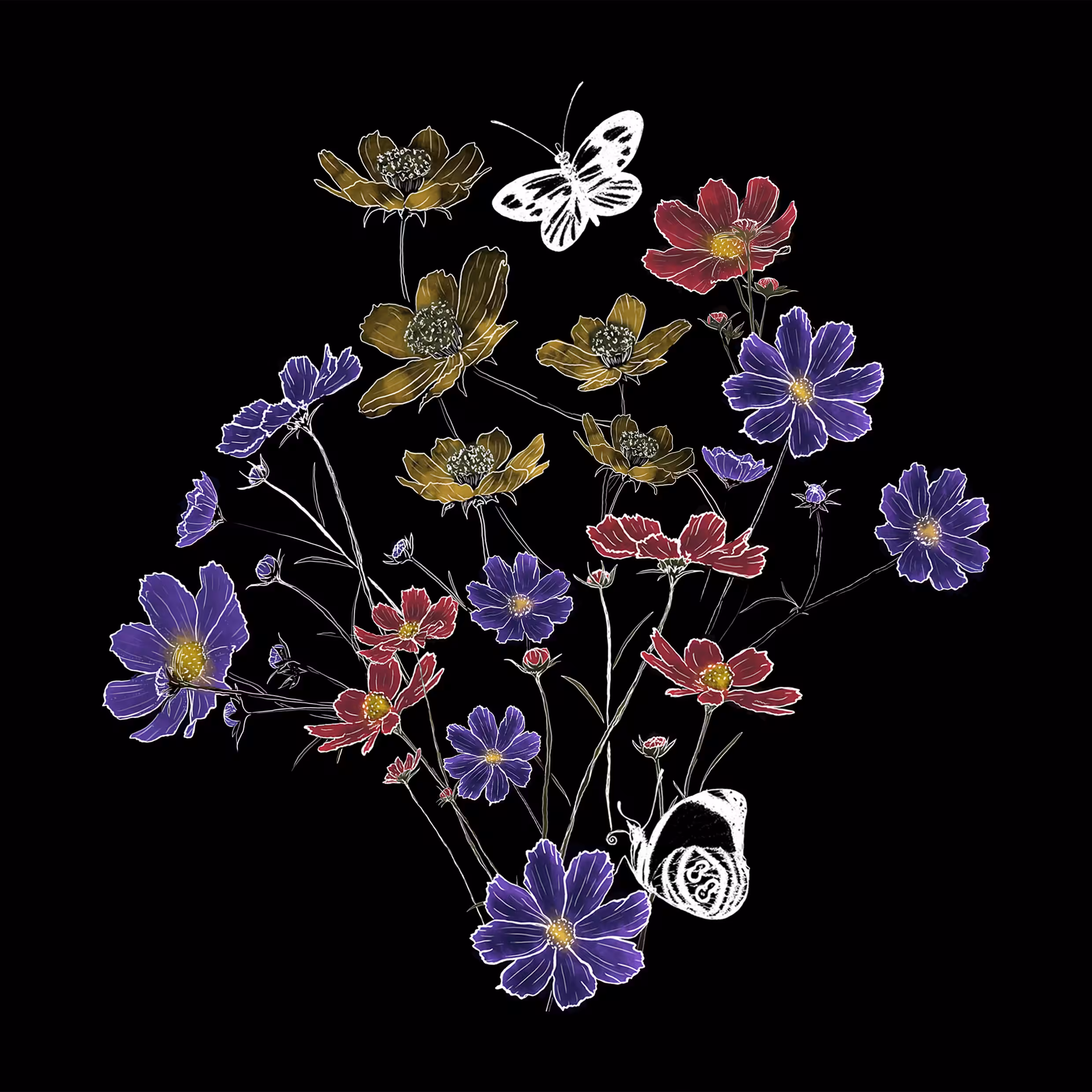 Cosmos Garden
