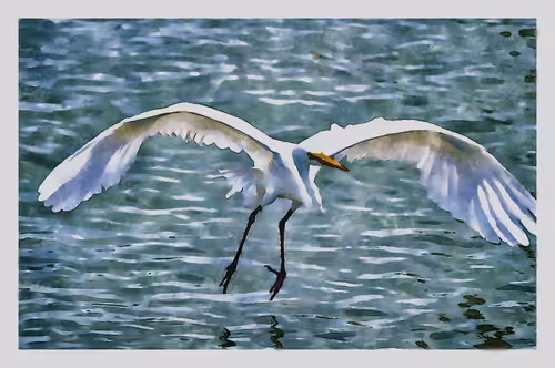 Watercolored Photography: Watercolored 065