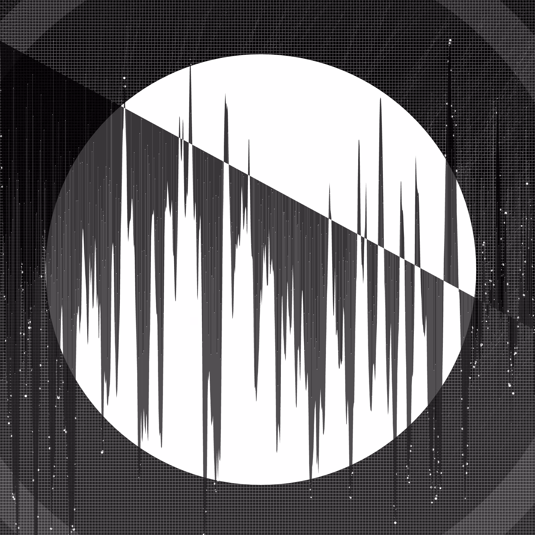 #41