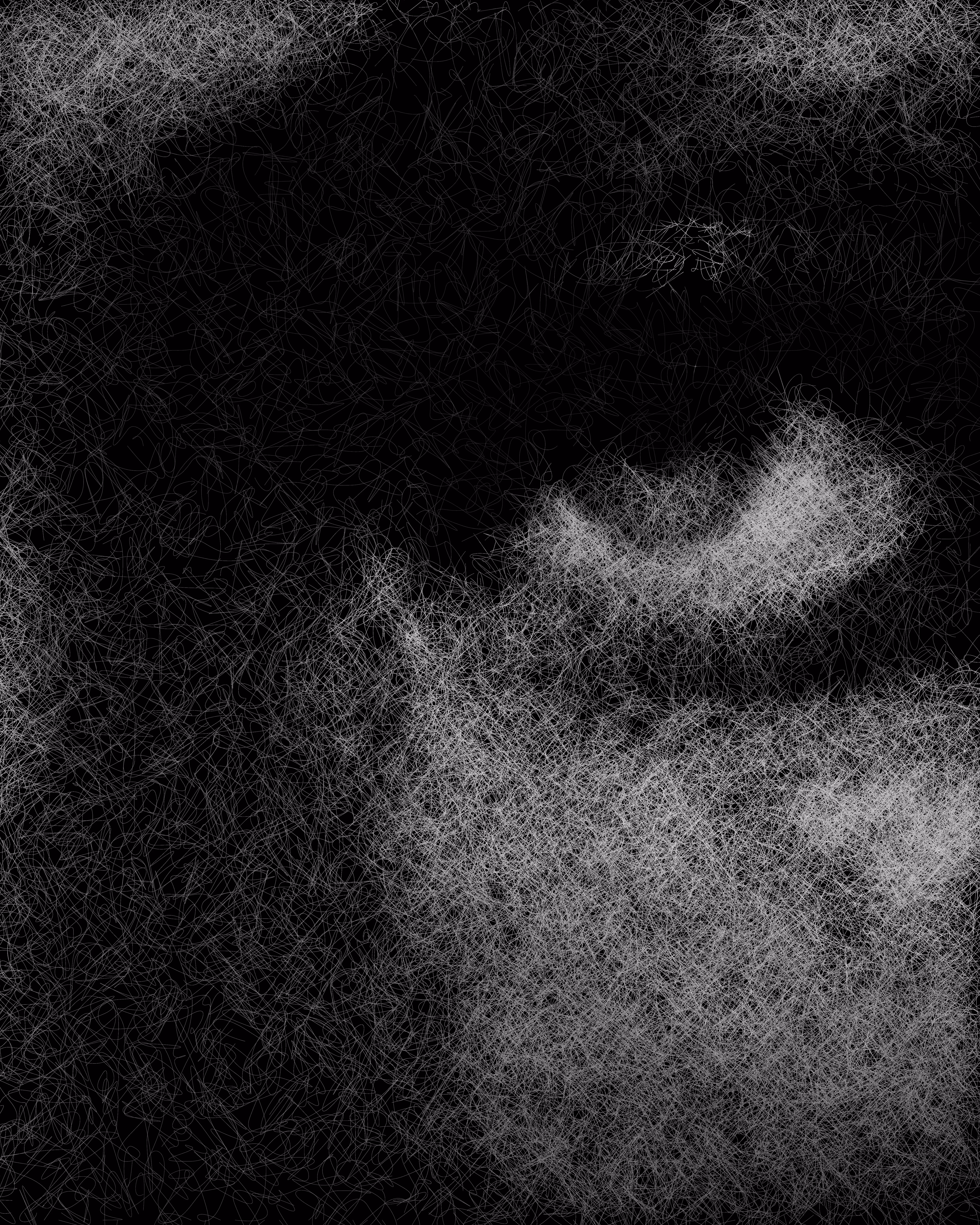 Algorithmic Portrait #005