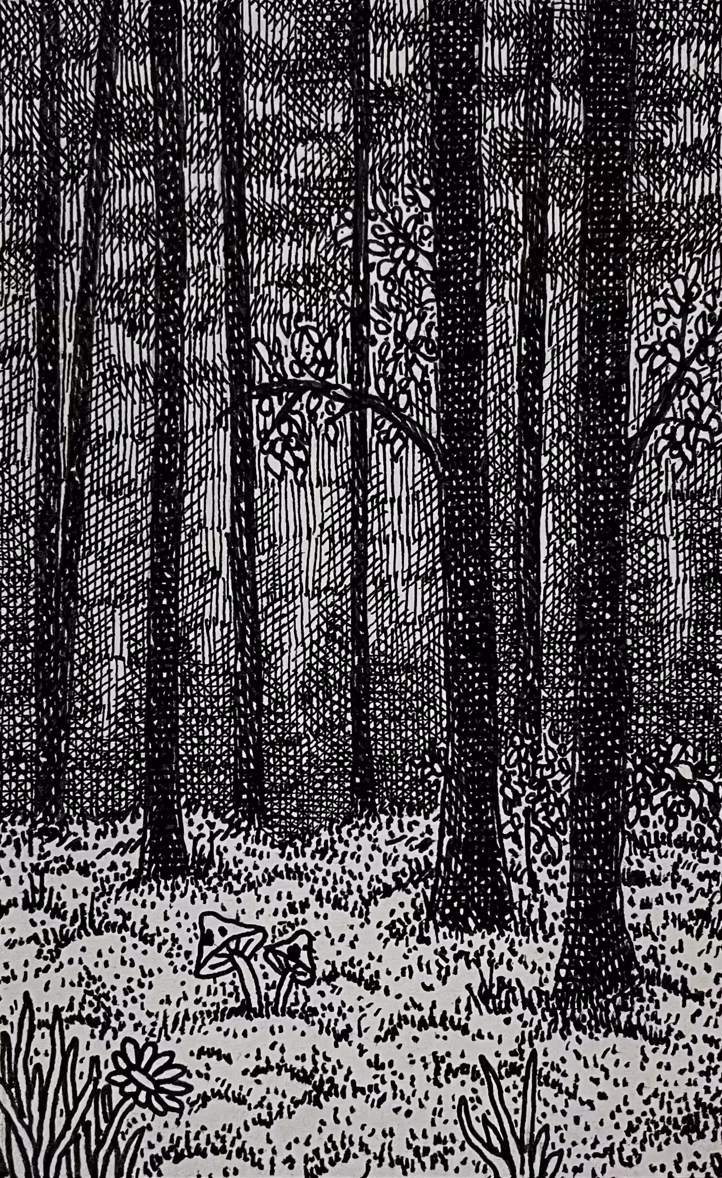 Shadow Garden