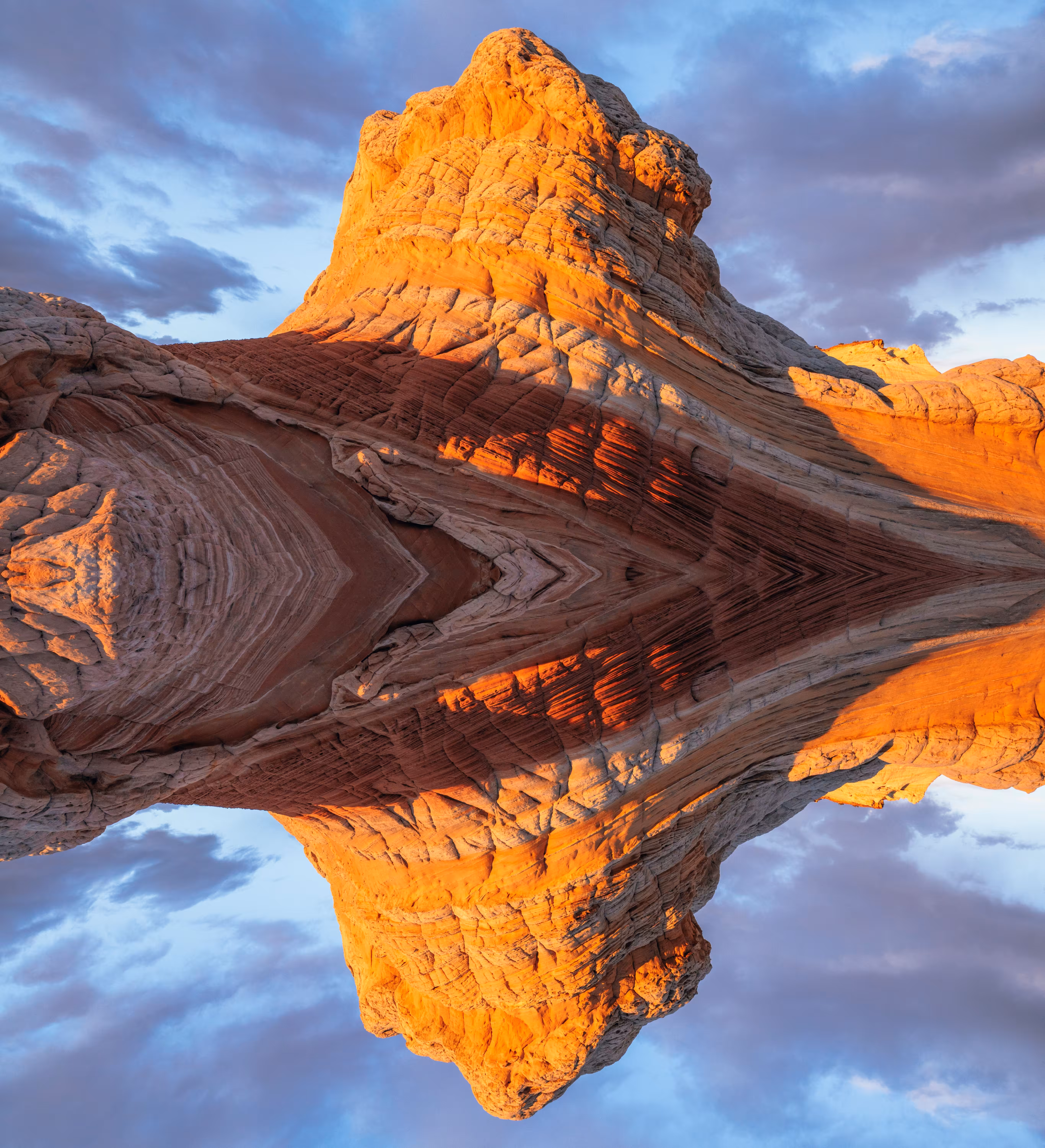 Reflection #106