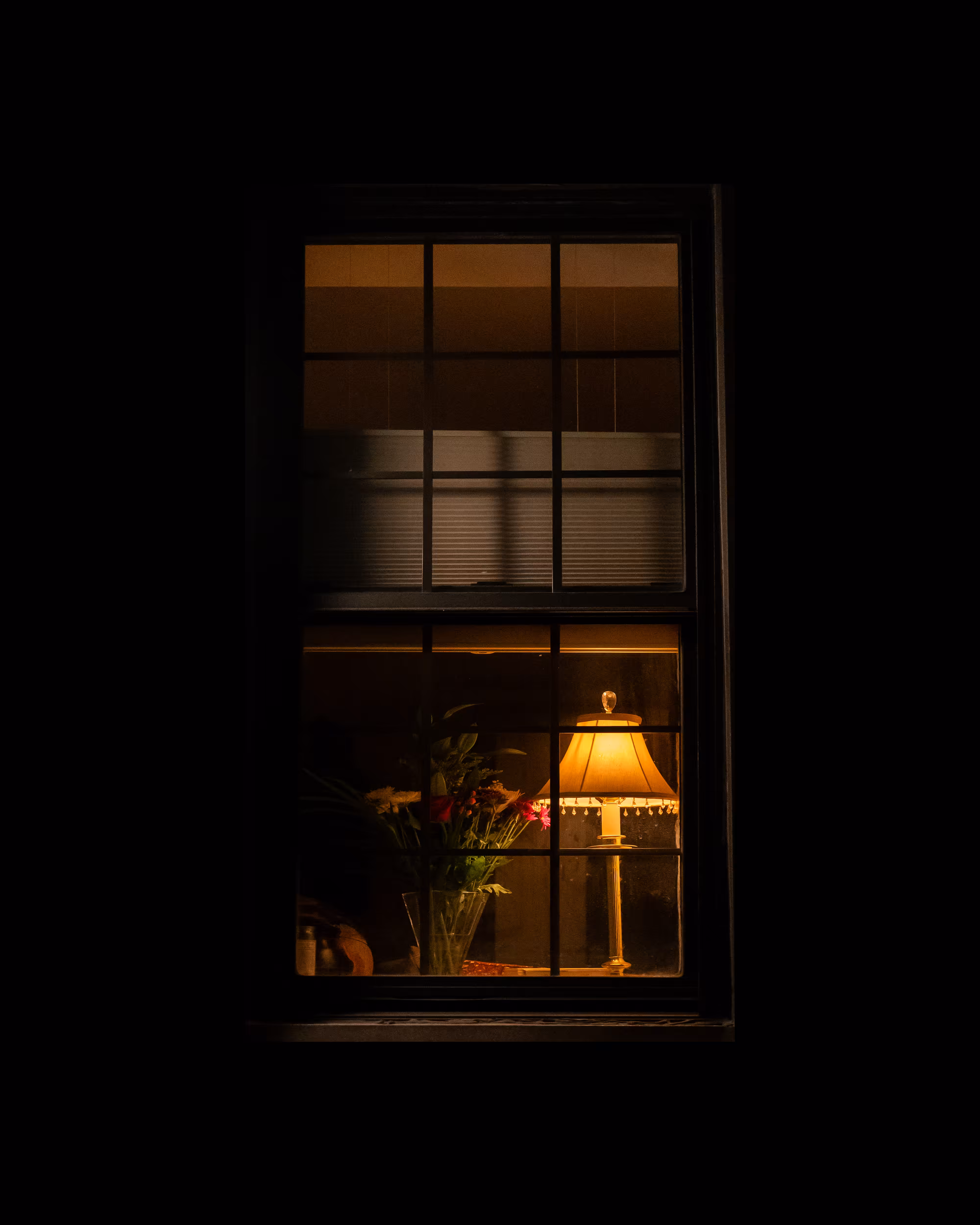 WINDOWS // NYC: WINDOW 198