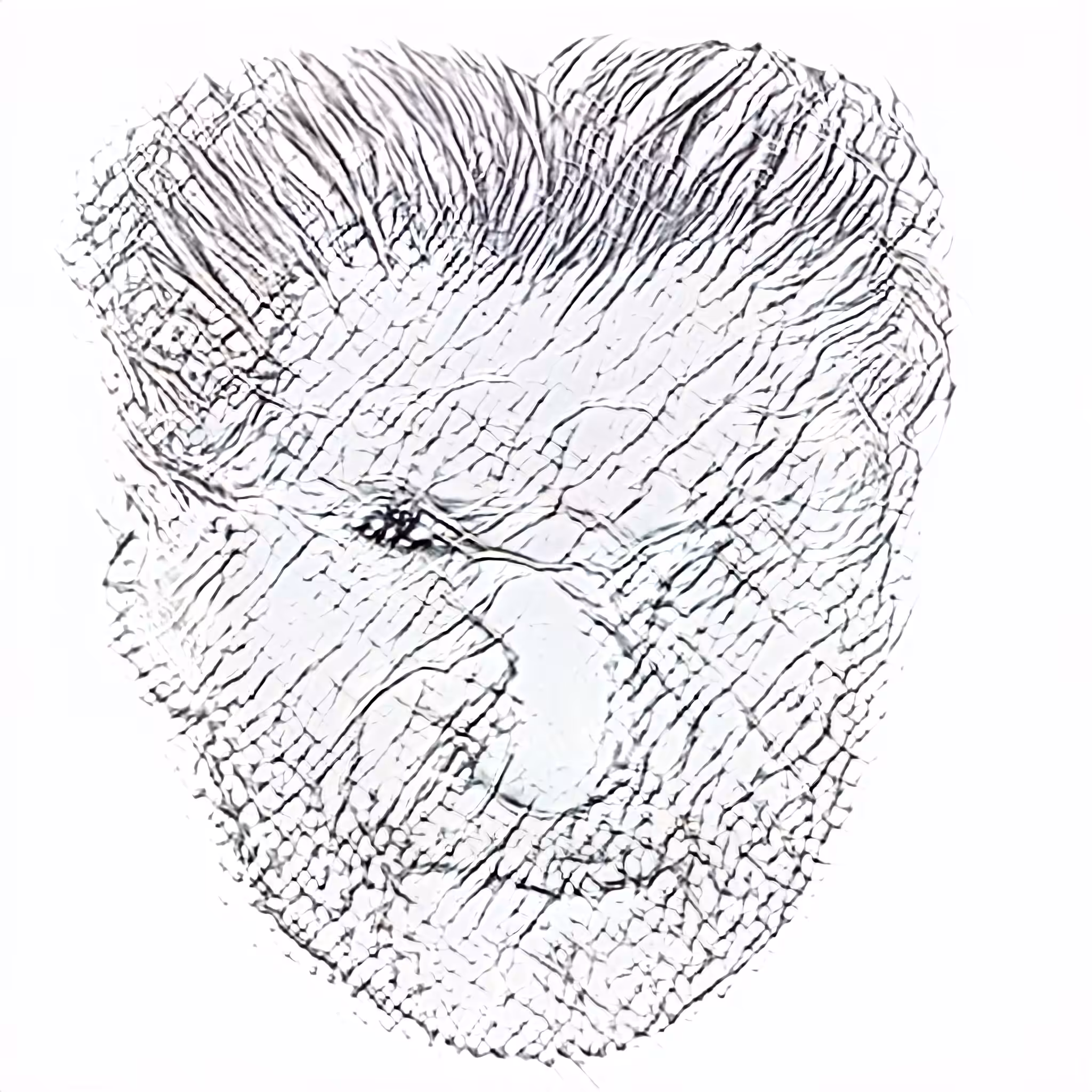 HUMANGLYPH 6