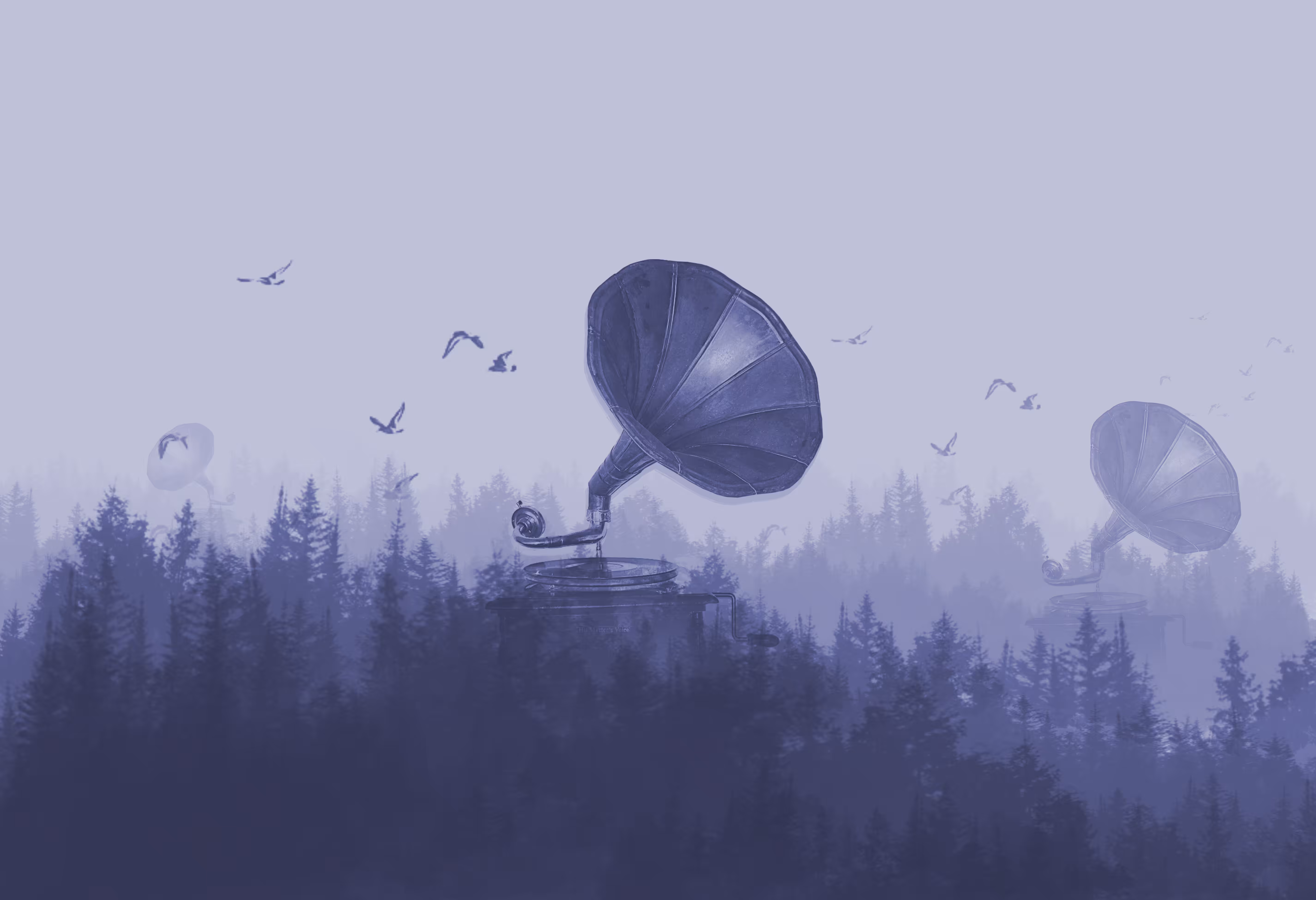sound of nature