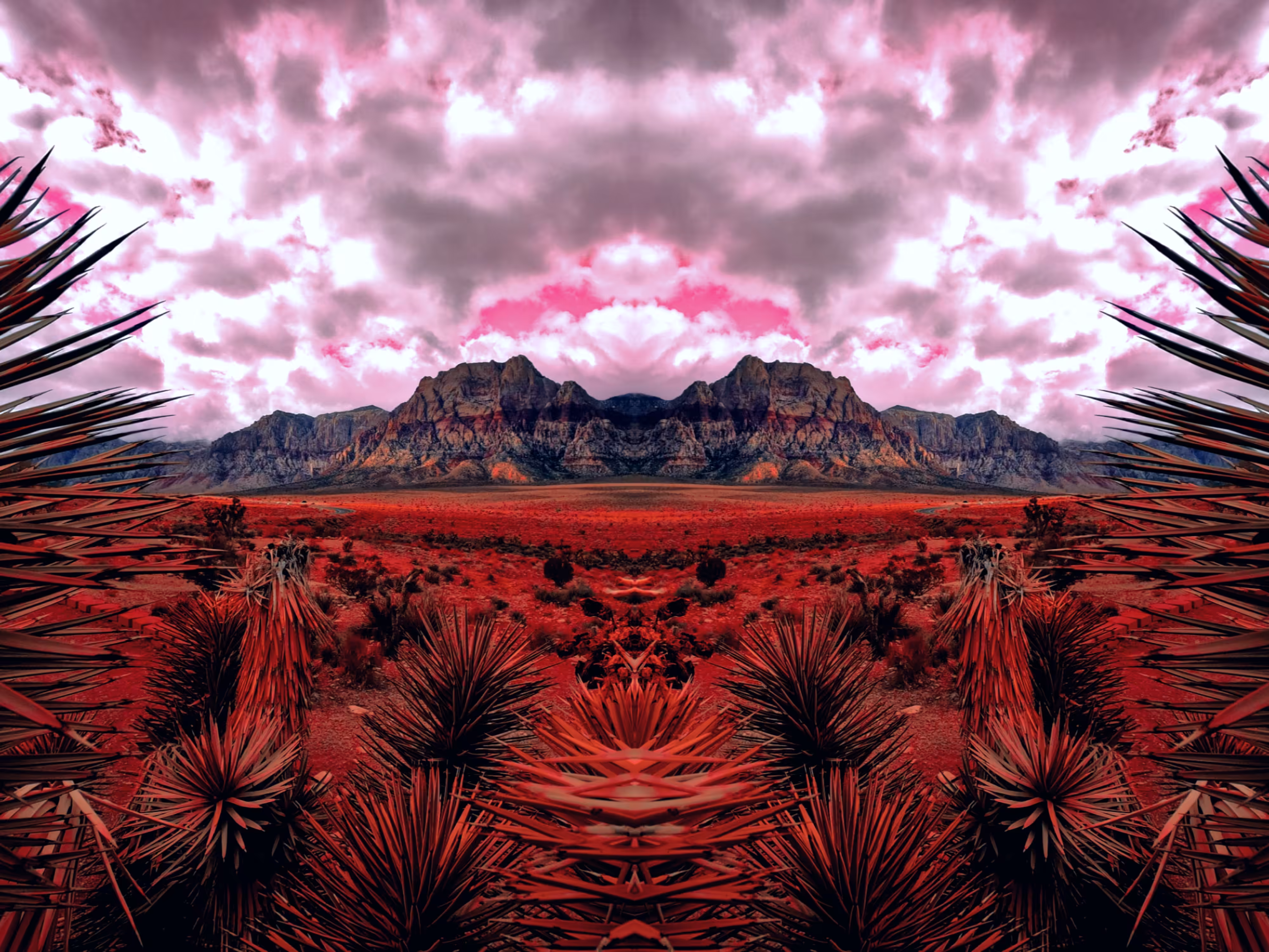 Red Wasteland