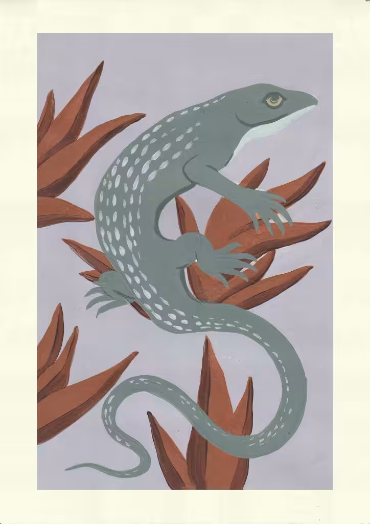 lagarto