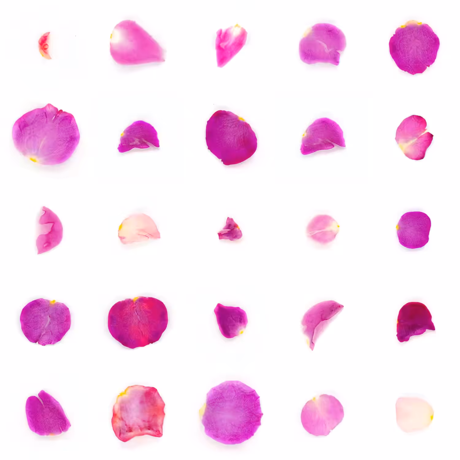 Infinite Petals 5x5#1847
