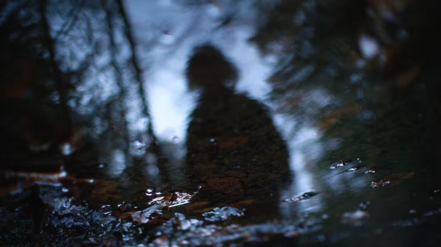 The Puddle Reflection