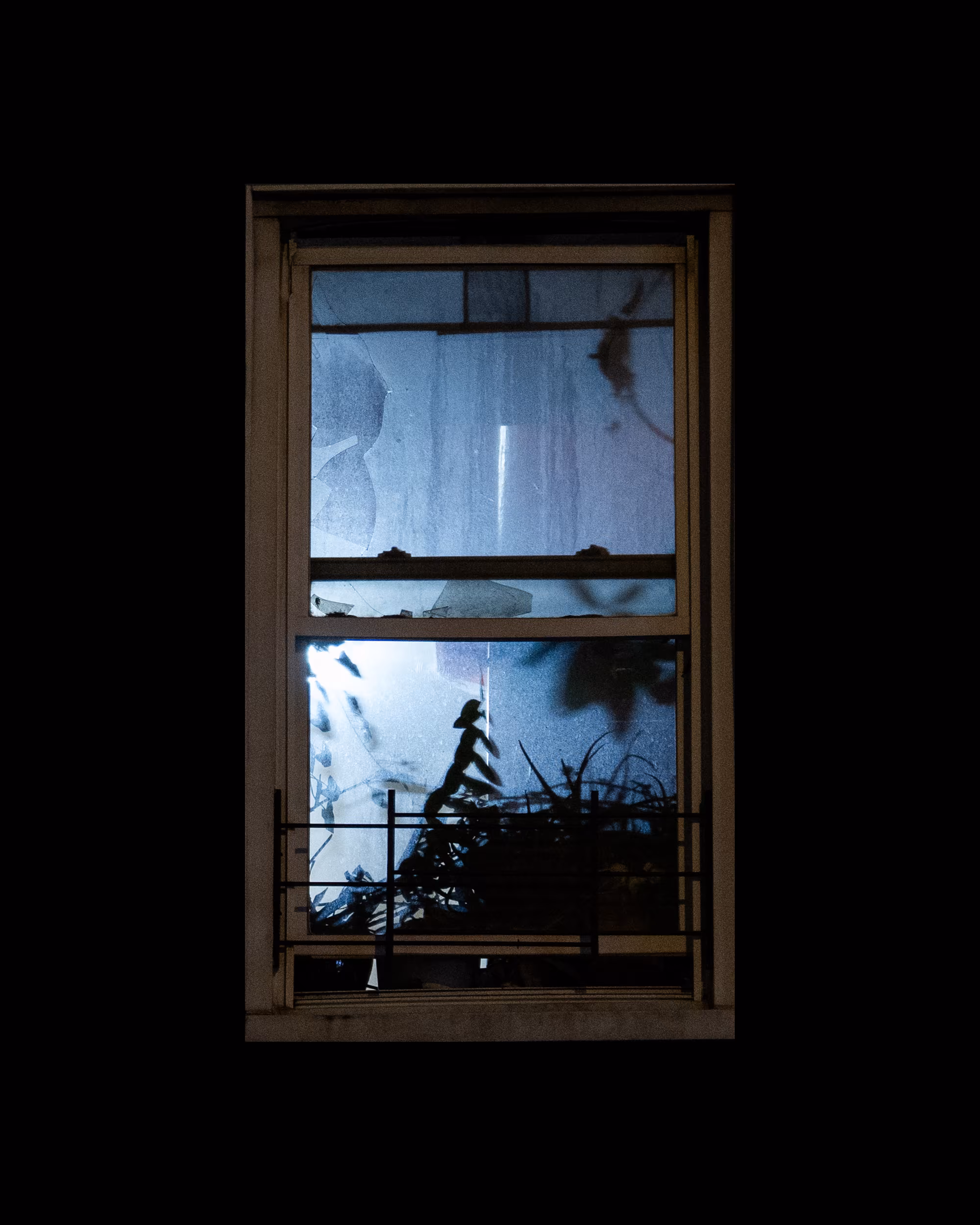 WINDOWS // NYC: WINDOW 716
