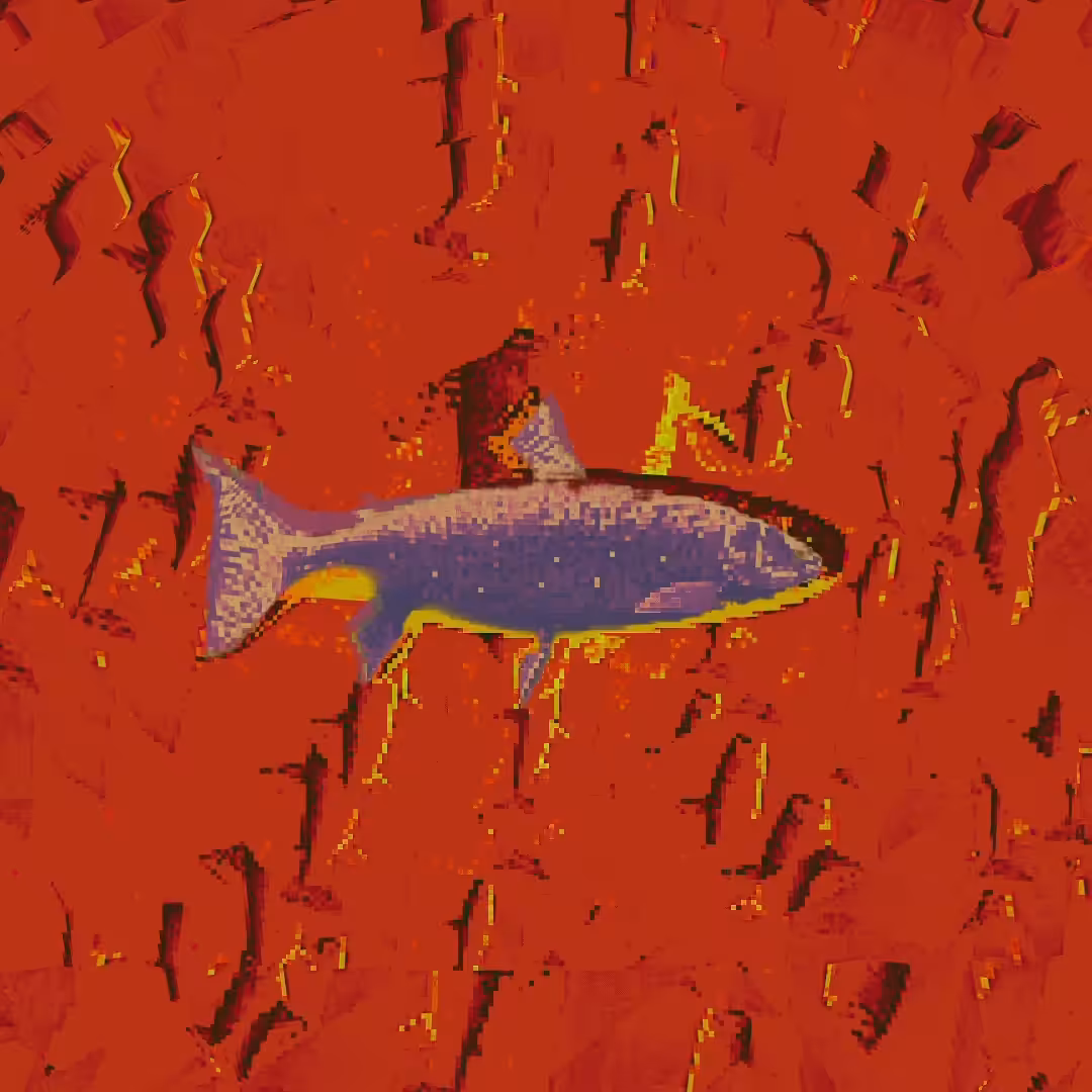filterfish#4